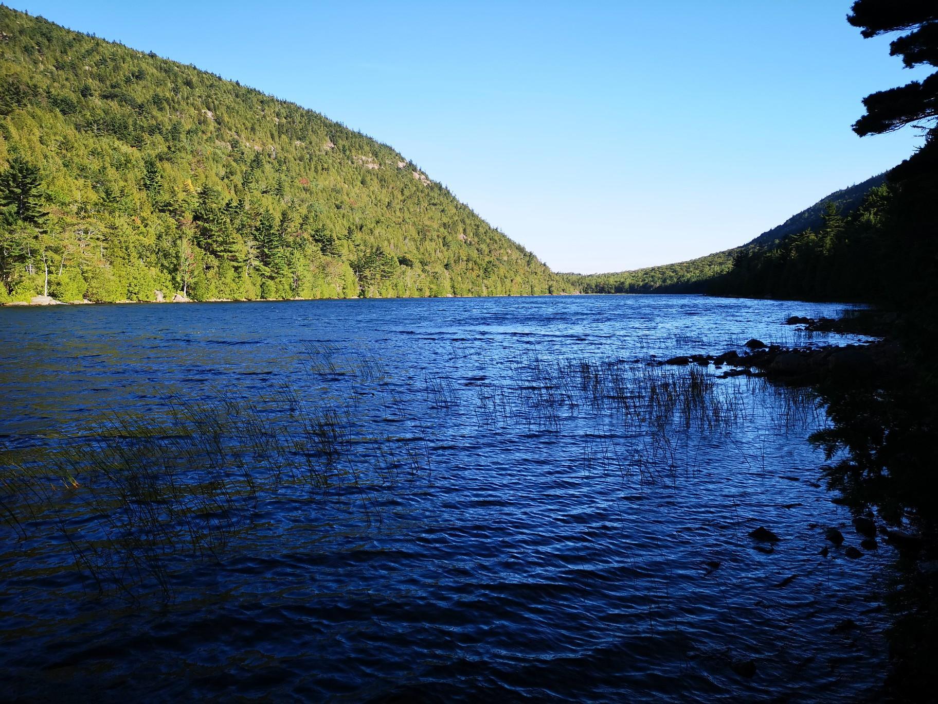 Deep blue lake surrounded by lush green forested mountains under clear sky.