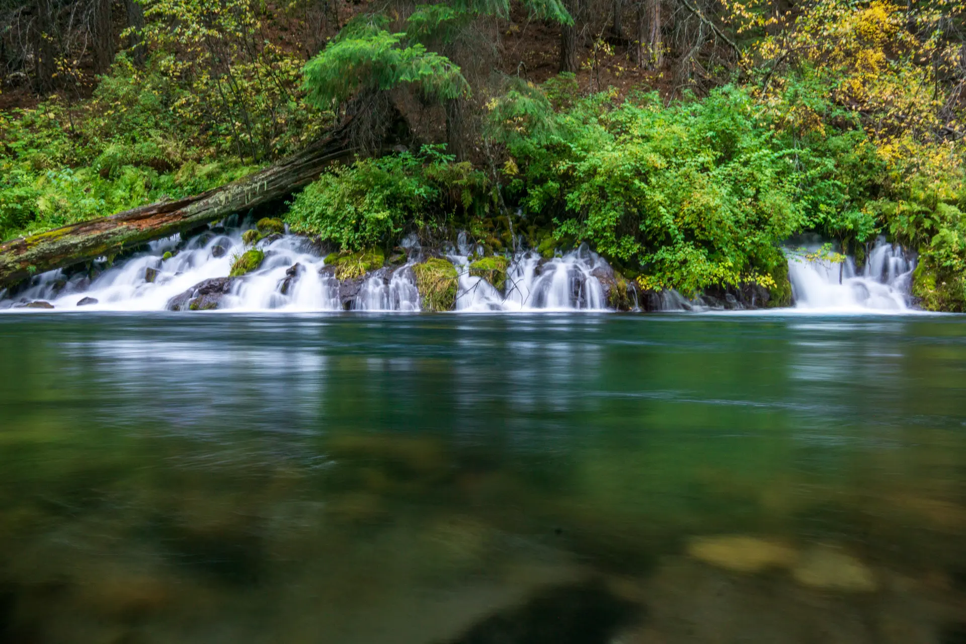 Lush green foliage and small waterfalls flowing into a calm green river.