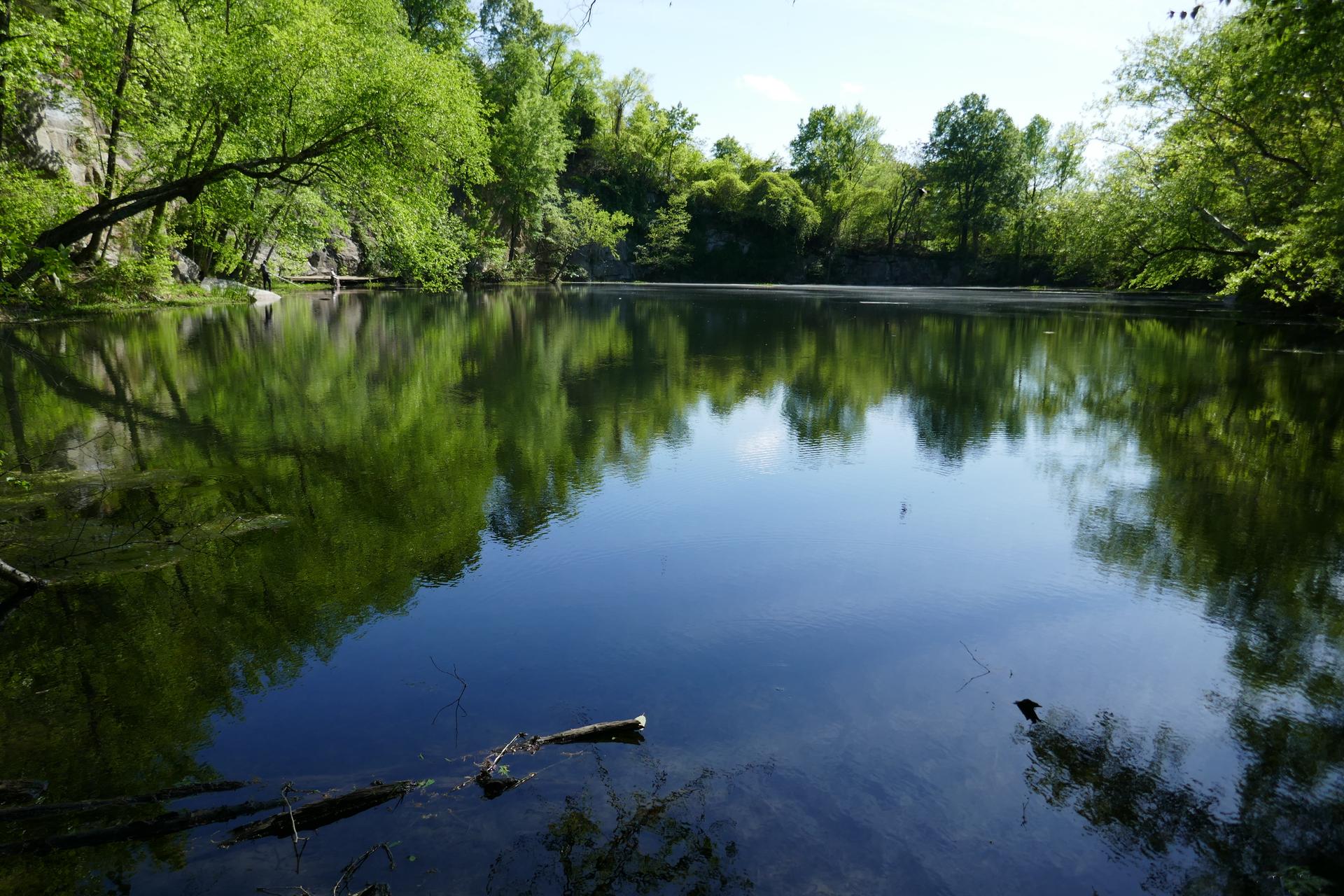 Calm water reflects lush green trees under bright sunlight.