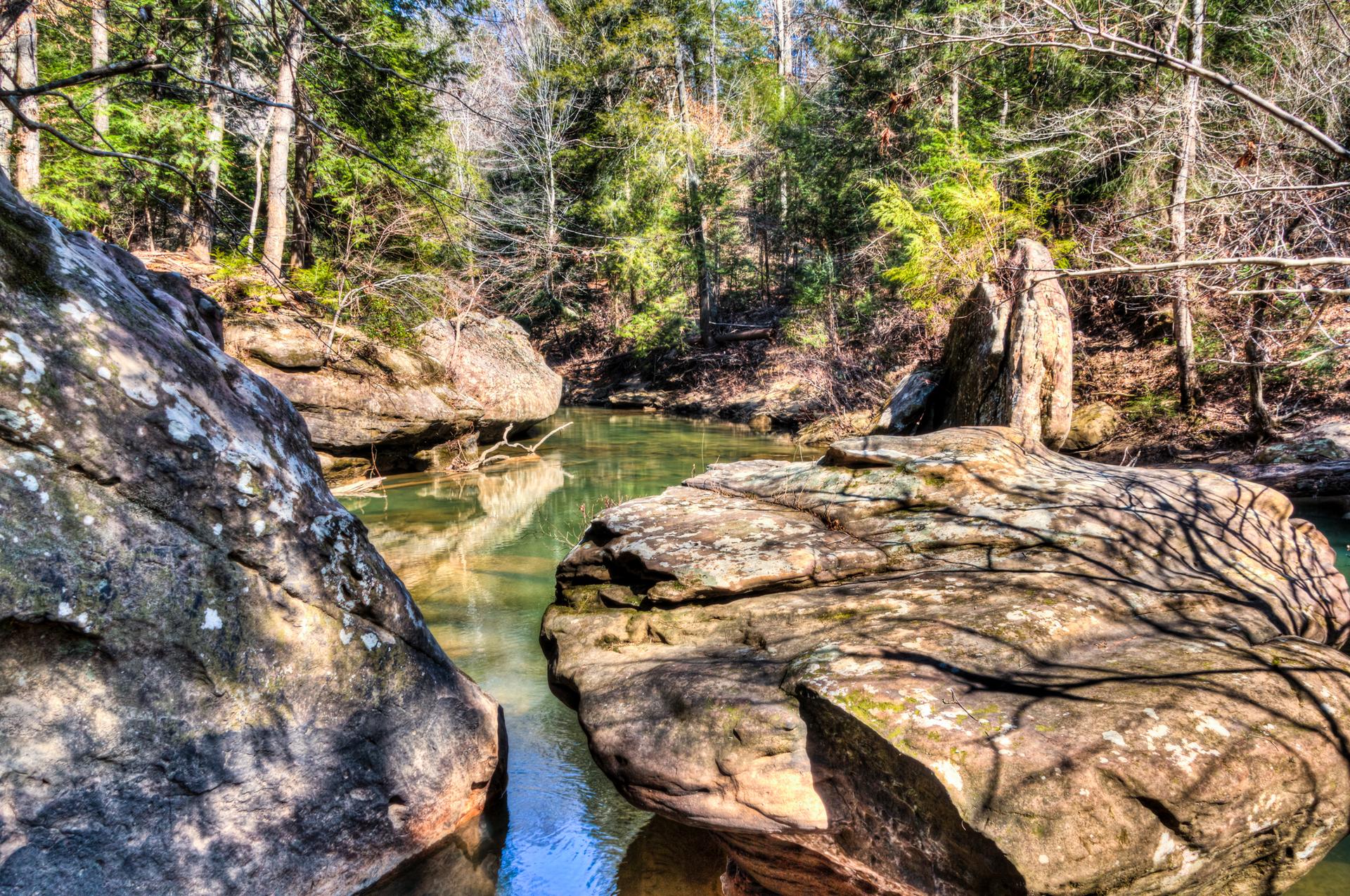 A winding stream flows between large sunlit boulders and a dense forest.
