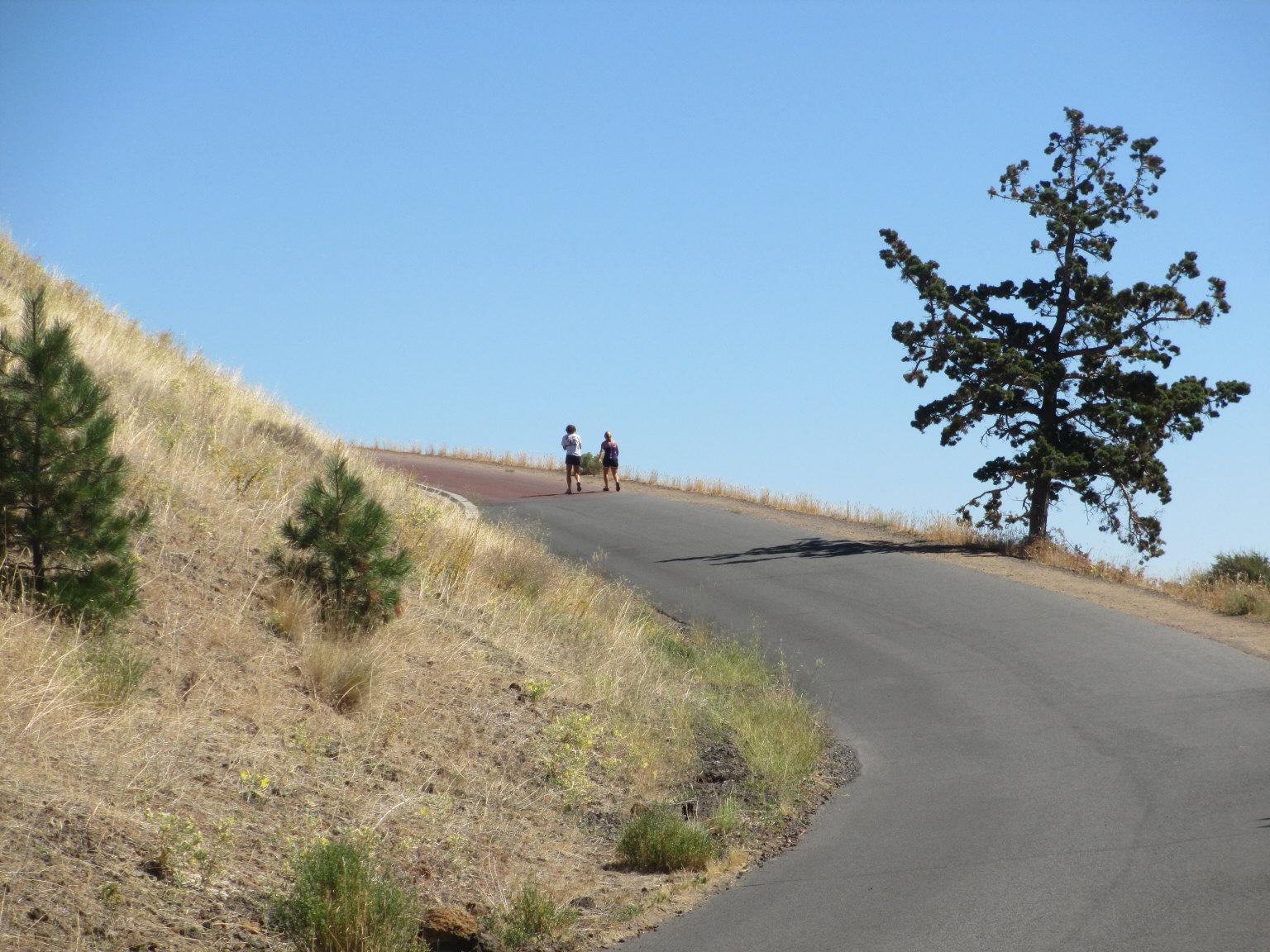 Two people walk uphill on a paved road next to dry grass and a tree.