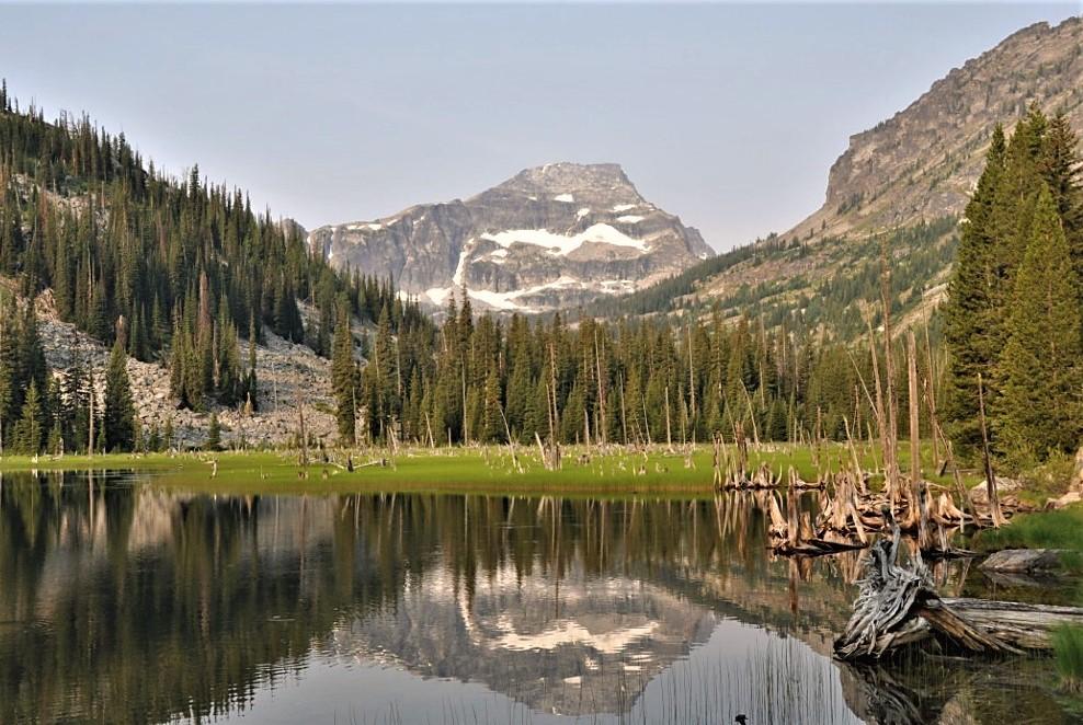 Calm mountain lake reflecting a snow-patched peak, with dense forests and dead trees.