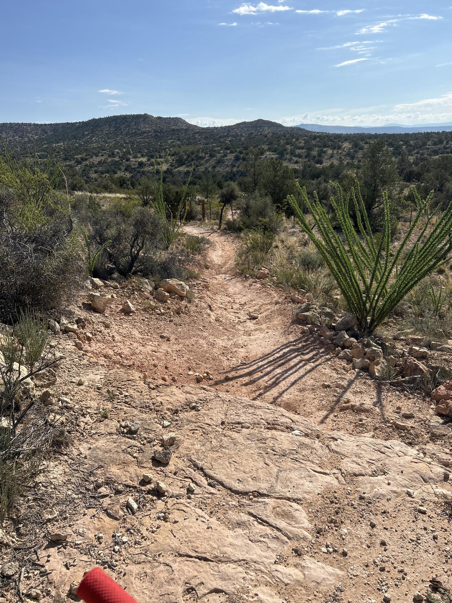 Rocky desert trail winding through arid landscape under a bright sky.