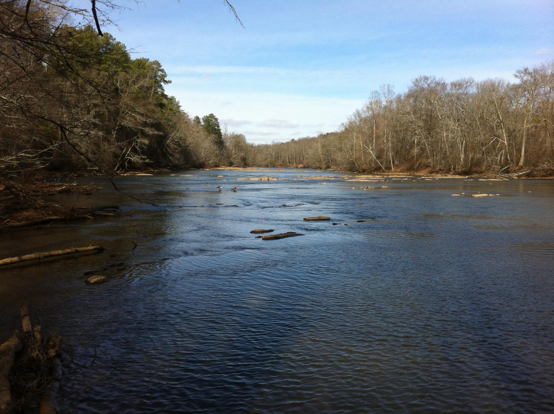 Wide river with small rapids, flanked by bare winter trees under blue sky.