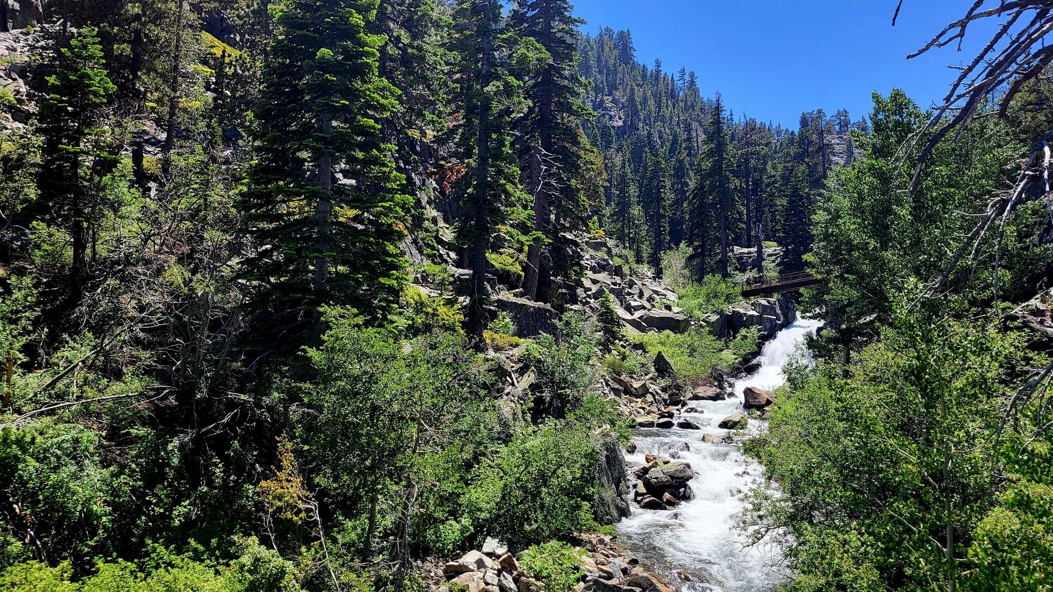 Rushing river in a rocky, forested canyon under a bright blue sky.