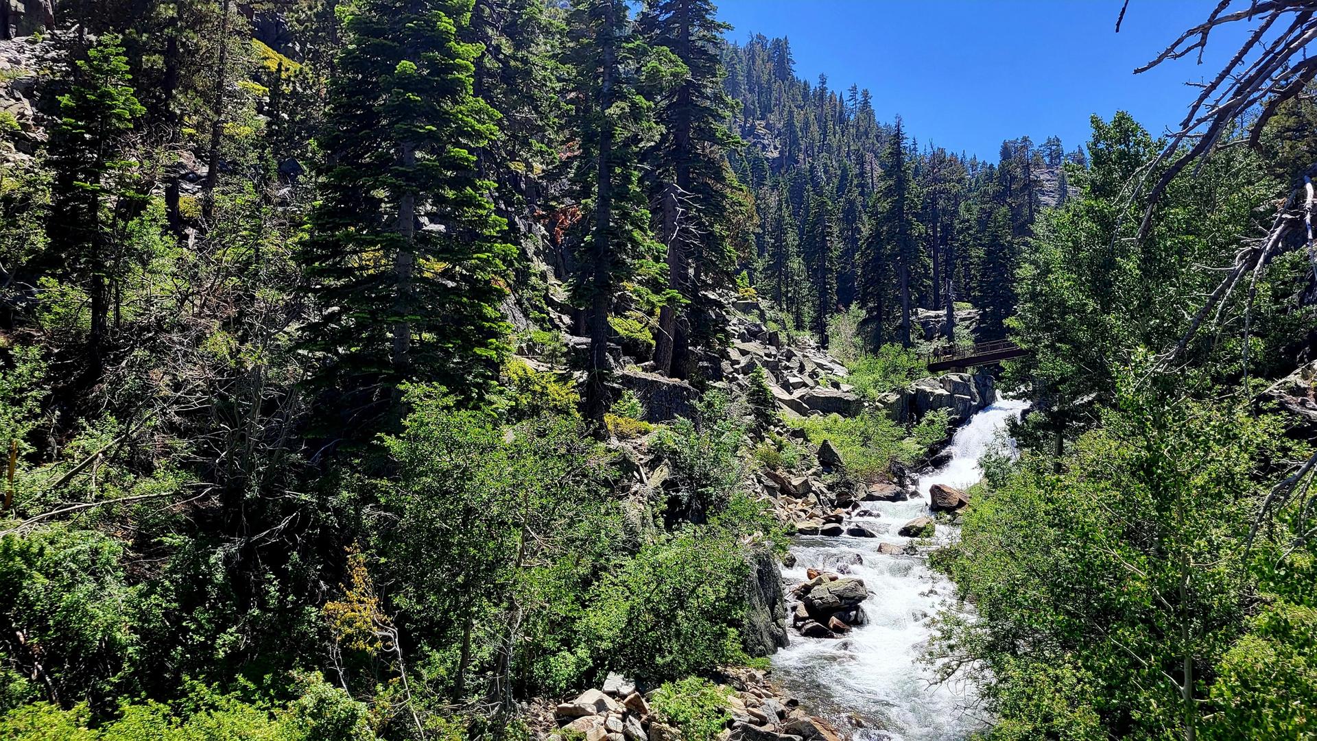 Rushing river in a rocky, forested canyon under a bright blue sky.