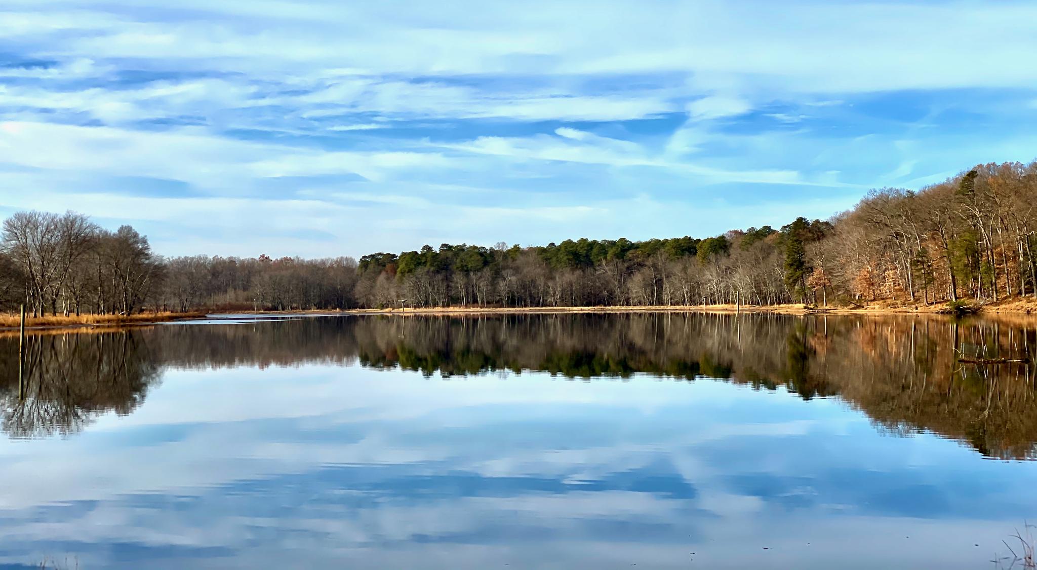 Wide lake reflecting blue sky and bare trees on a sunny day.