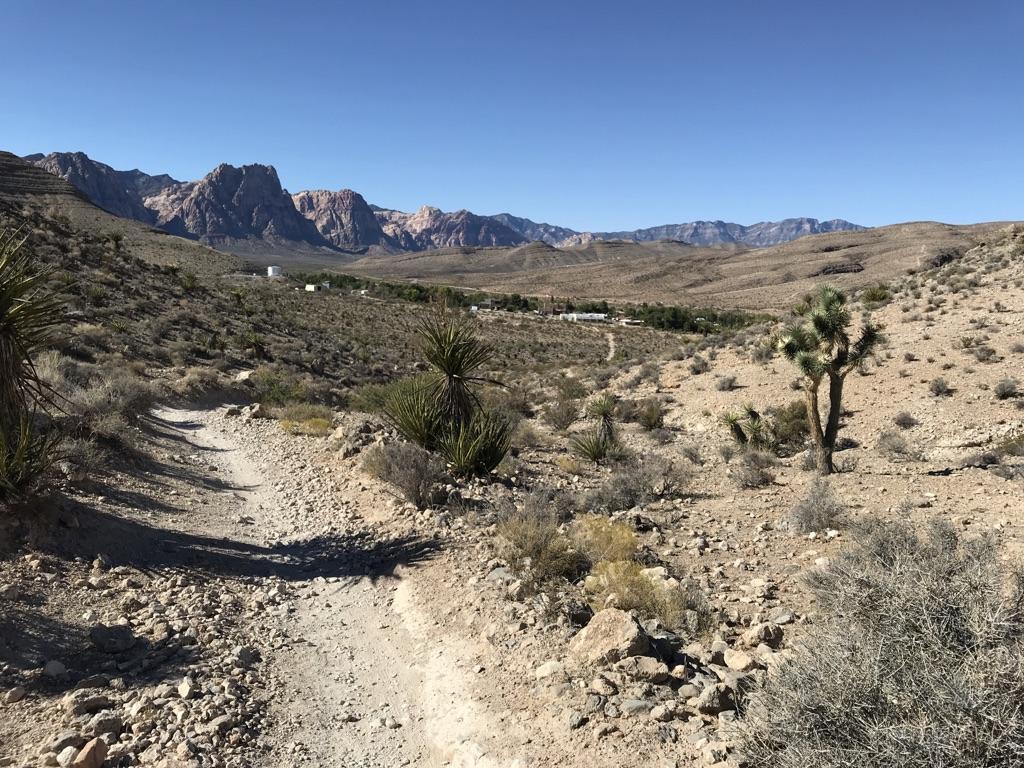 Dirt trail winds through a desert valley with scrub, yucca, and distant mountains.