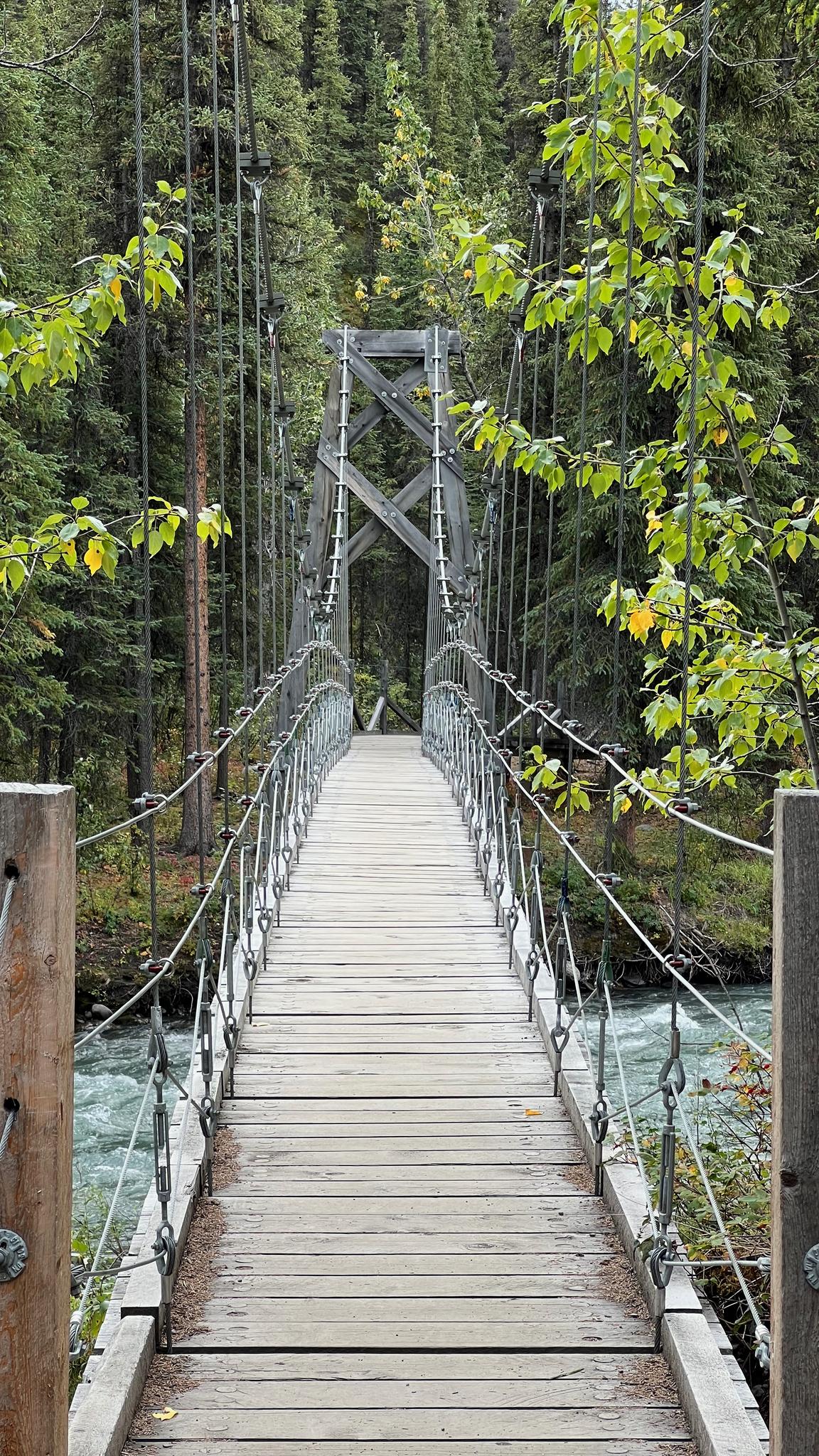 A wooden suspension bridge extends over a river into a dense forest.