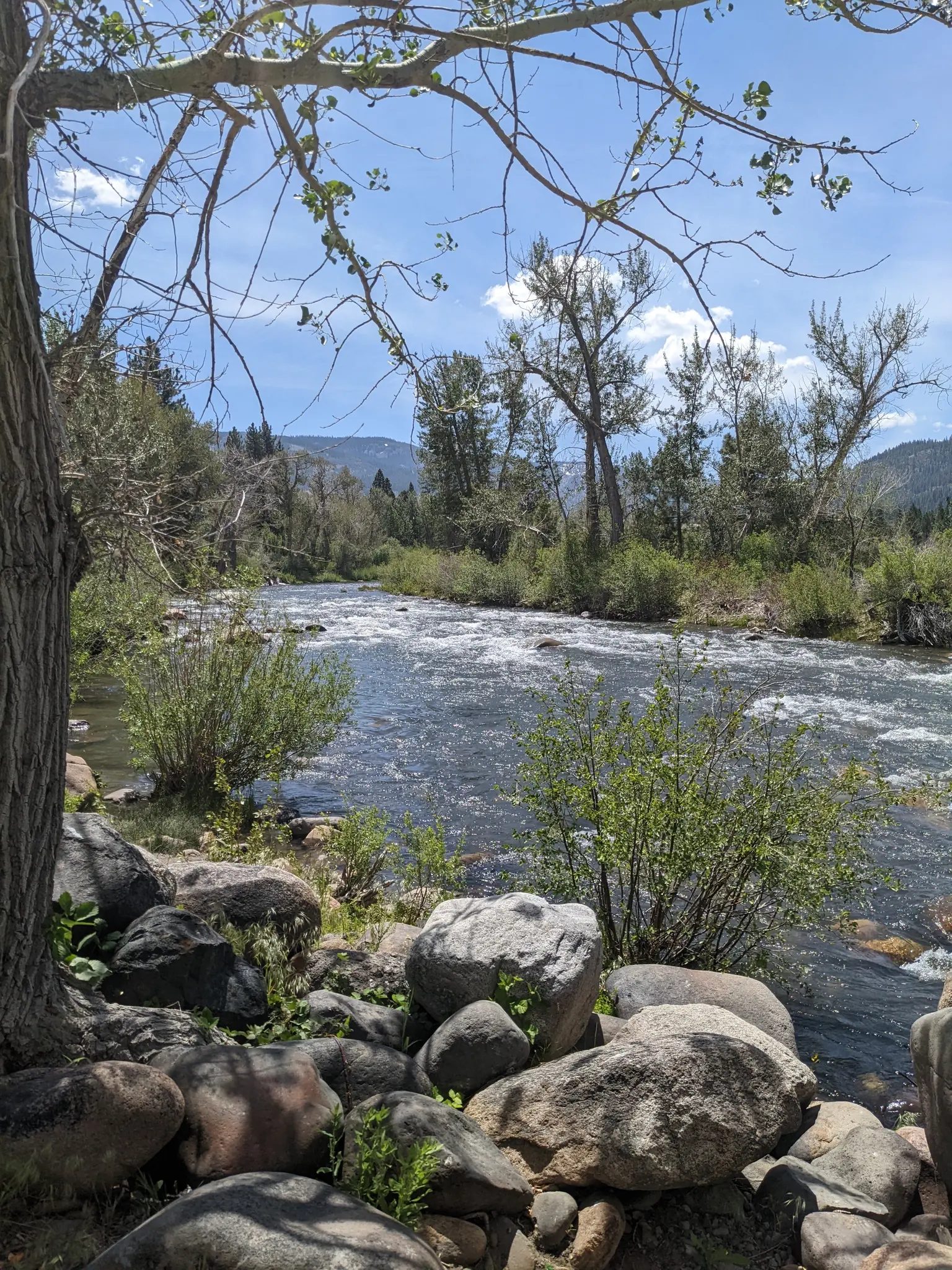 A clear river flows past a rocky bank under a bright, sunny sky.