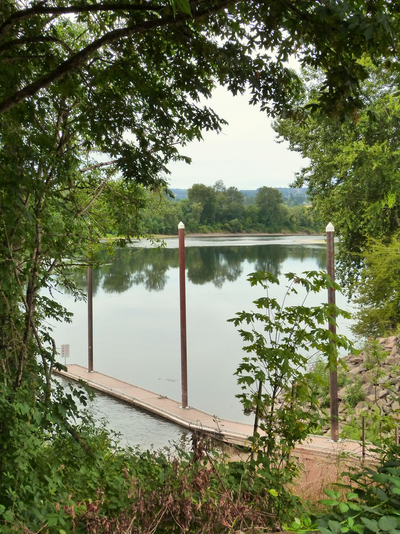 Calm river with a small dock framed by lush green trees. - Keizer to Gallon House Covered Bridge loop