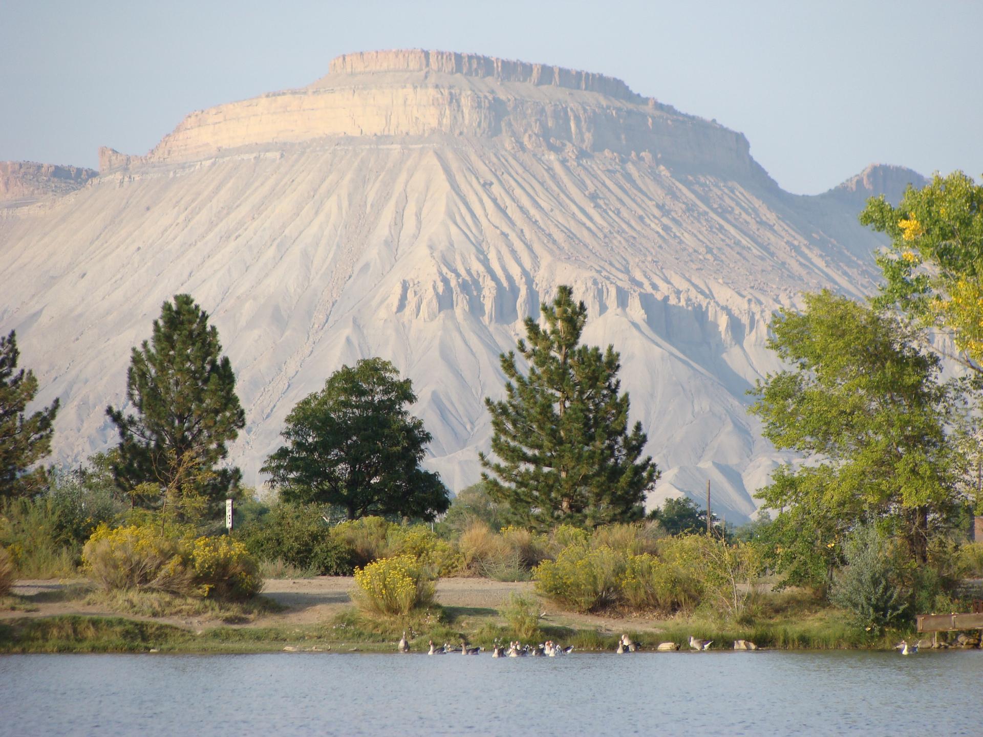 Sunny landscape with a large mountain, lake, green trees, and birds.