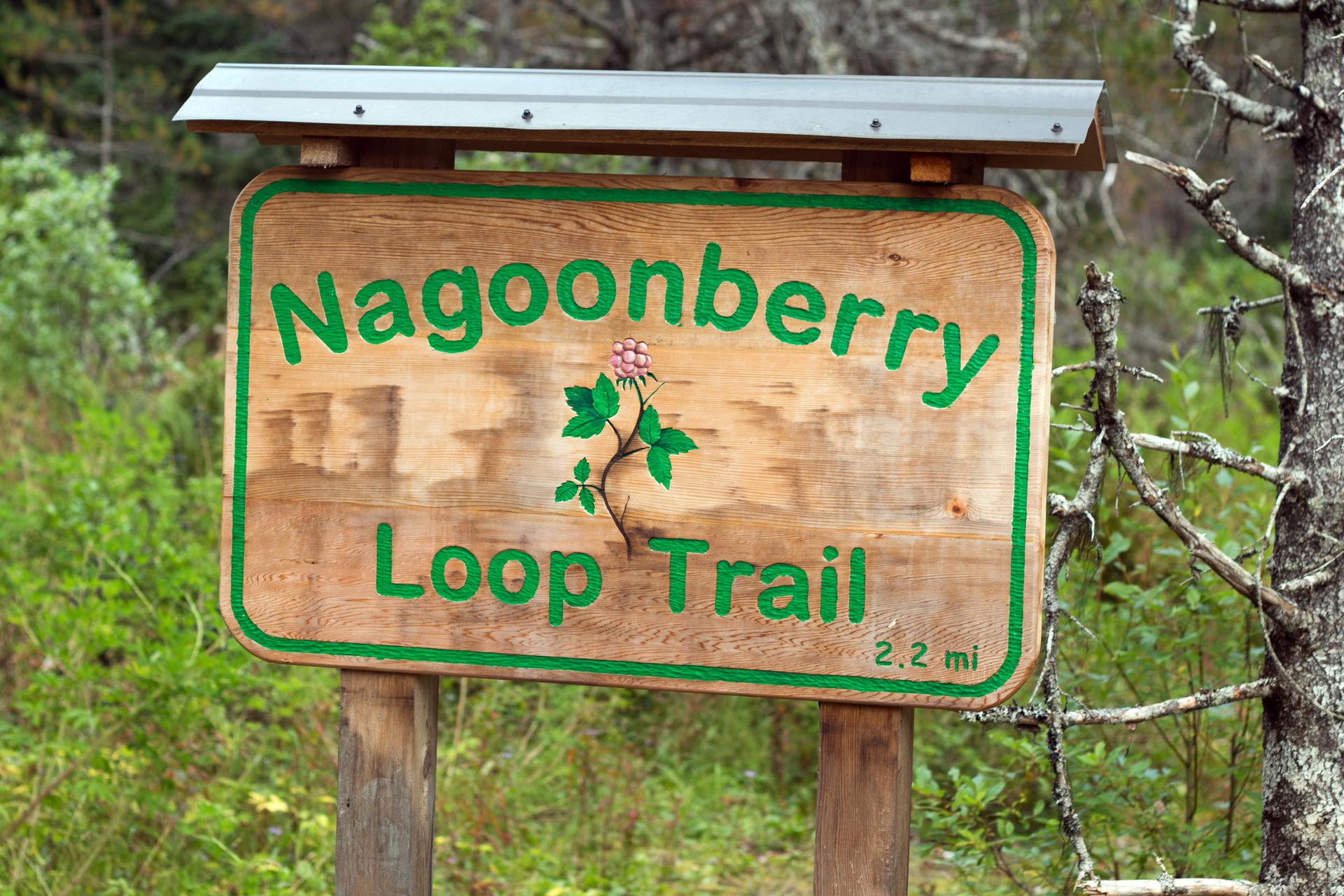 A wooden trail sign with green text and a berry illustration in a forest.