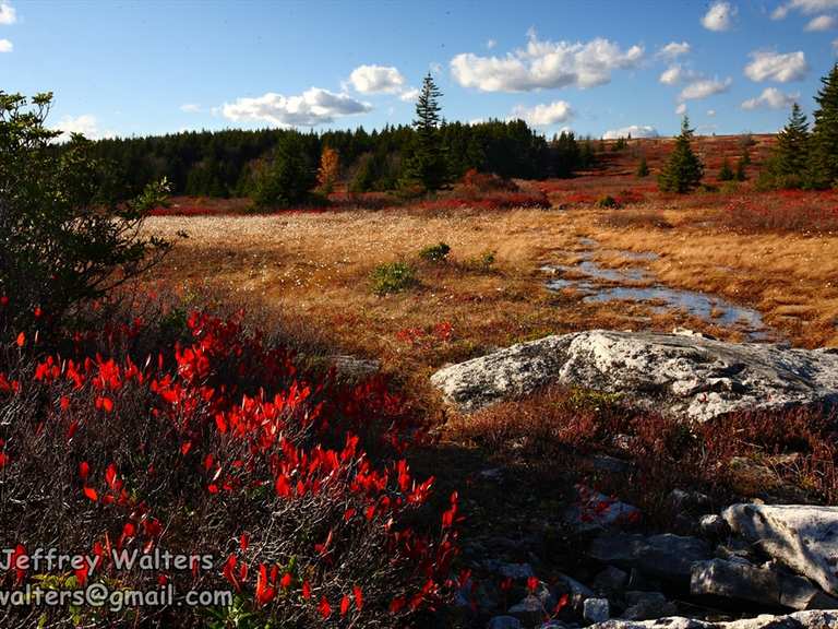Bear Rocks, Raven Ridge, and Dobbin Grade Trail | hike | Komoot