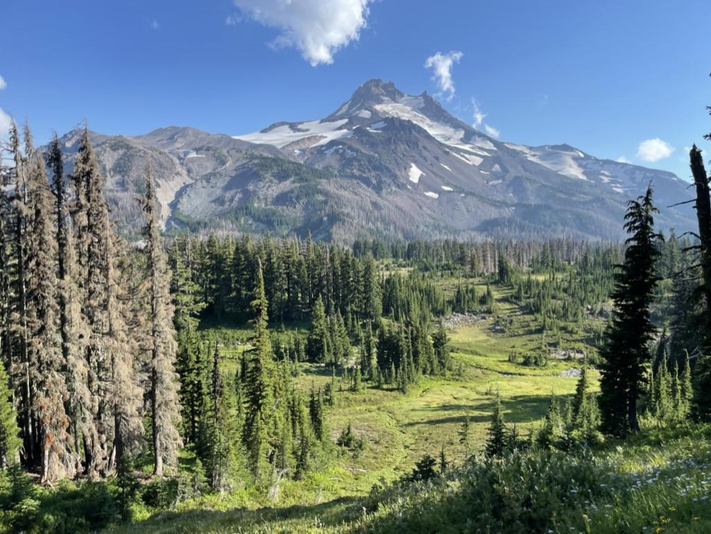 A majestic snow-capped mountain overlooks a green forest and meadow on a sunny day.
