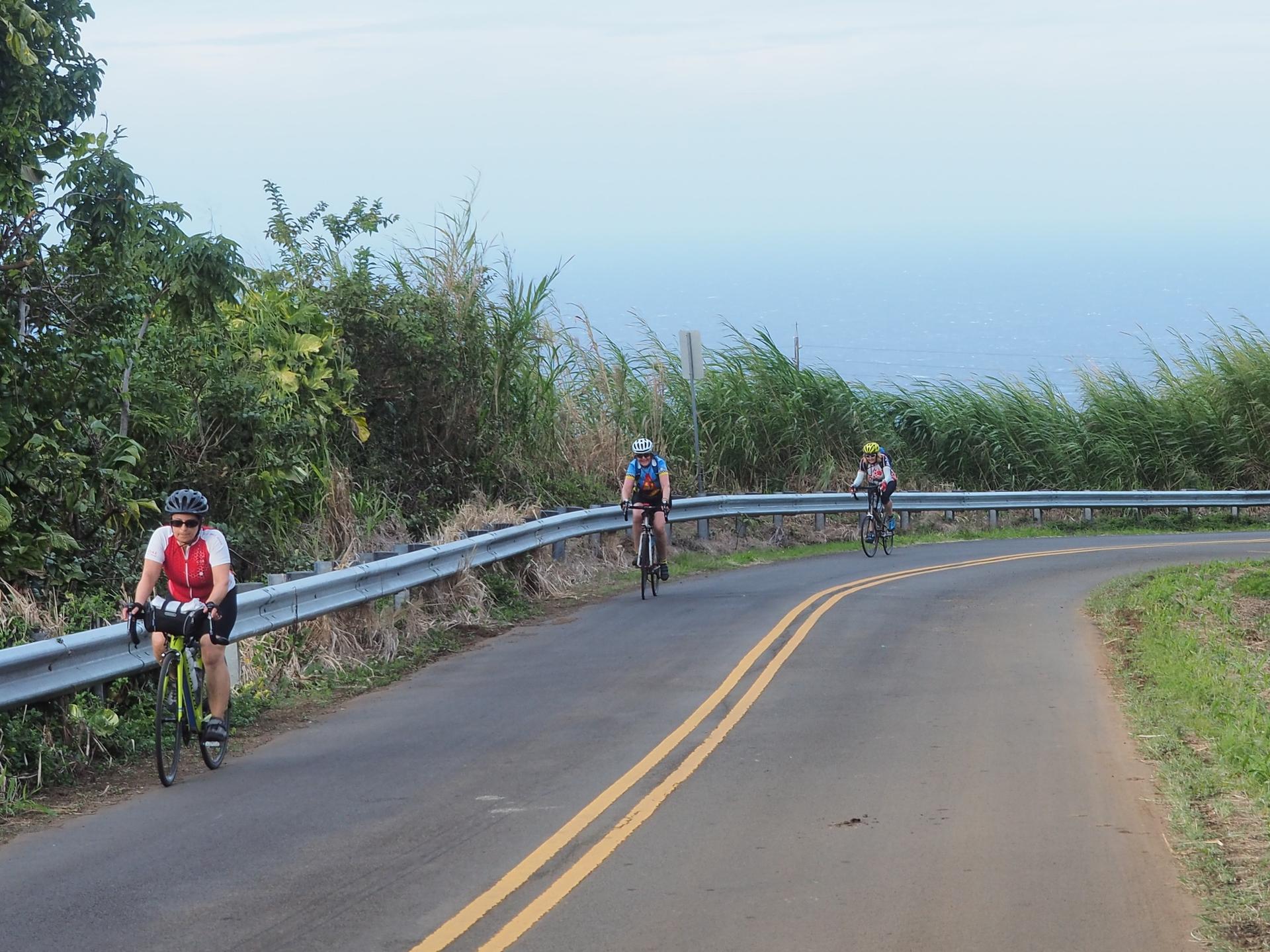Three cyclists ride along a winding road next to green foliage.