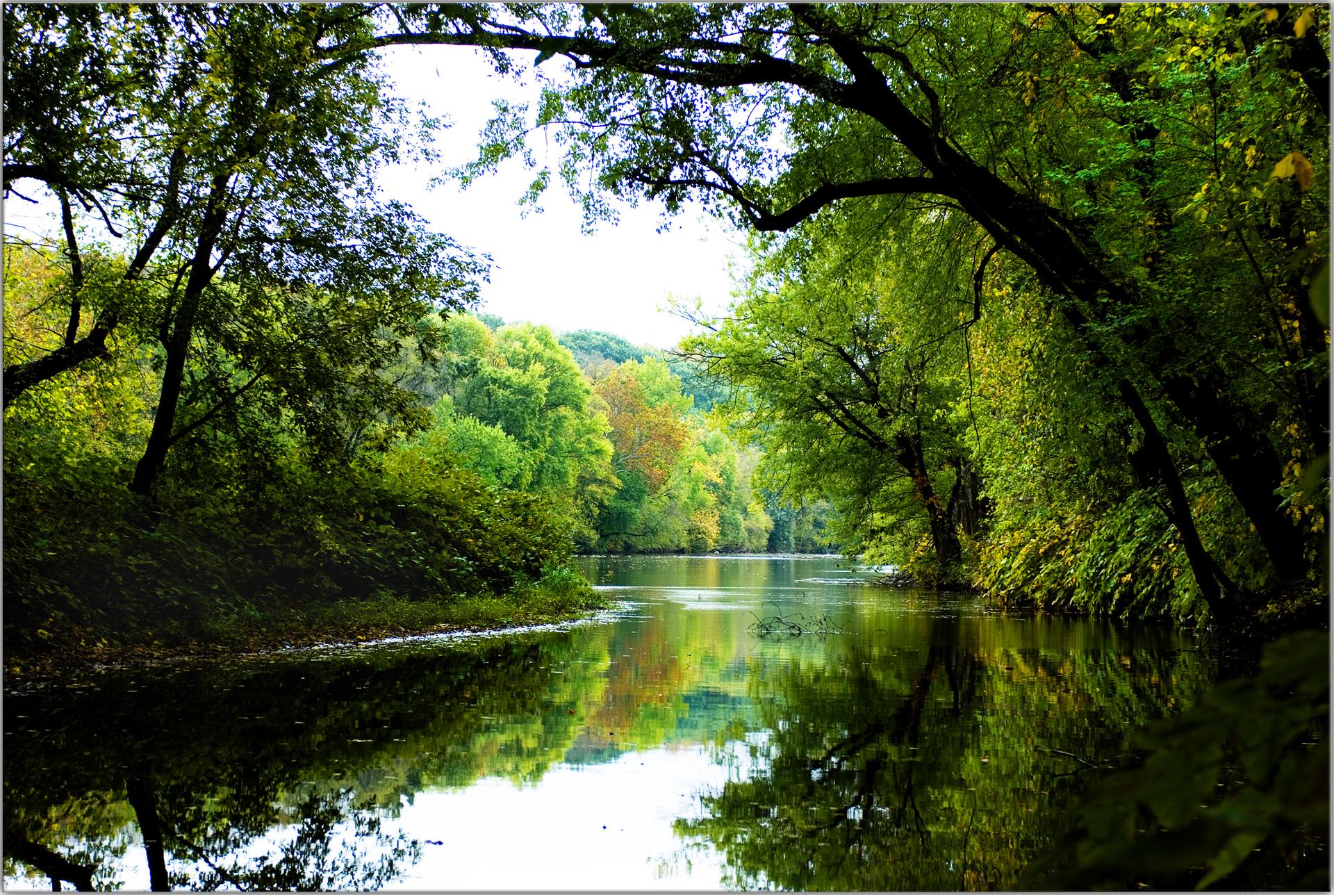 Calm river framed by lush green trees with reflections, bright daylight.