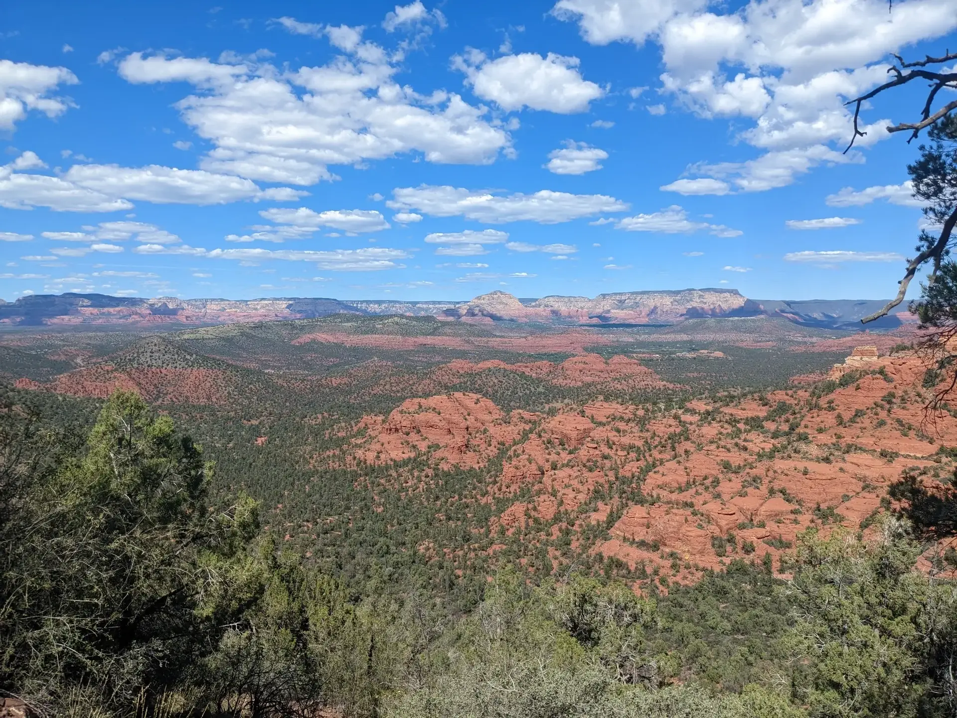 Expansive view of red rock desert landscape under a bright, cloudy sky.