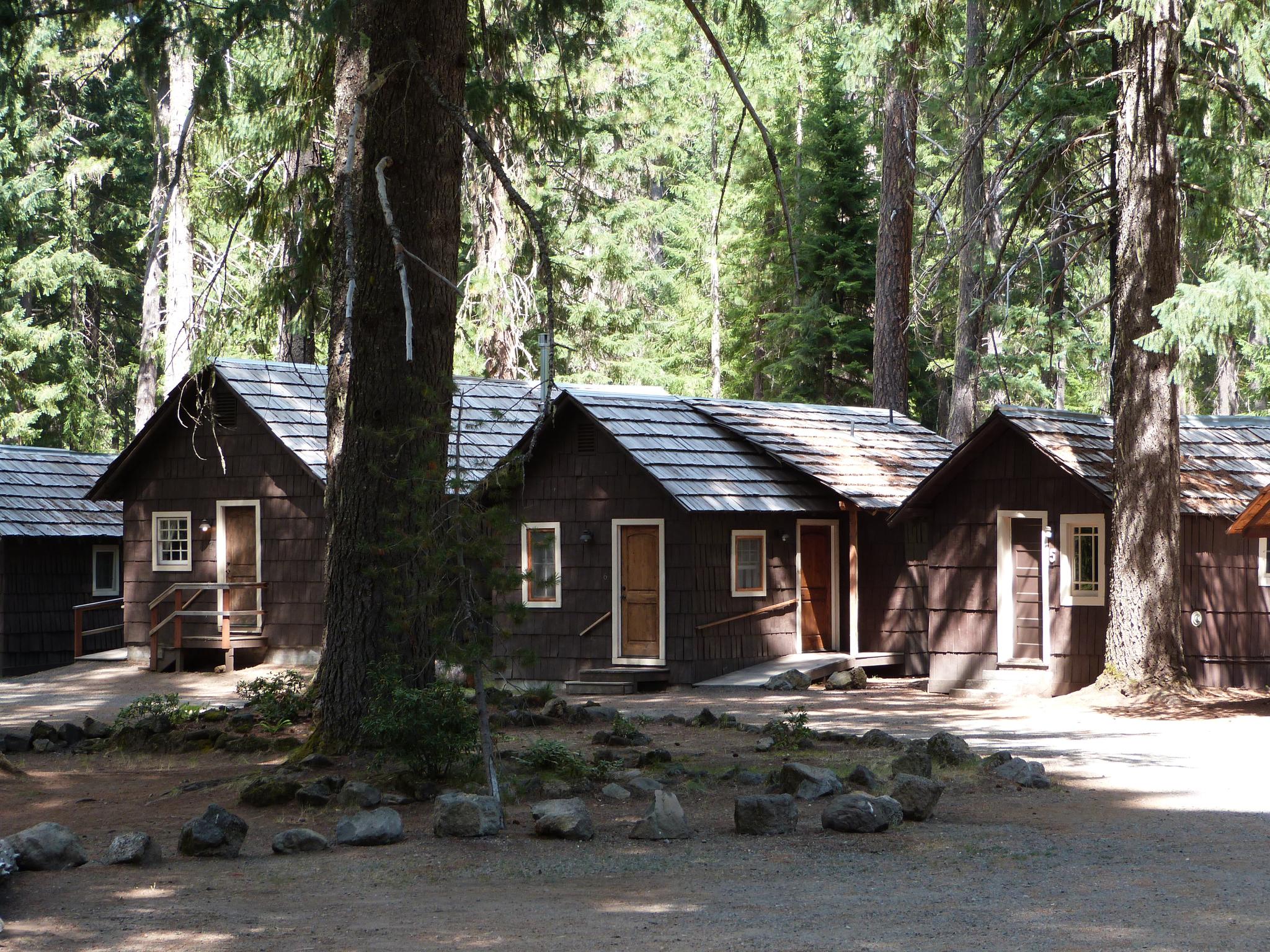 Rustic wooden cabins nestled among tall trees in dappled sunlight.