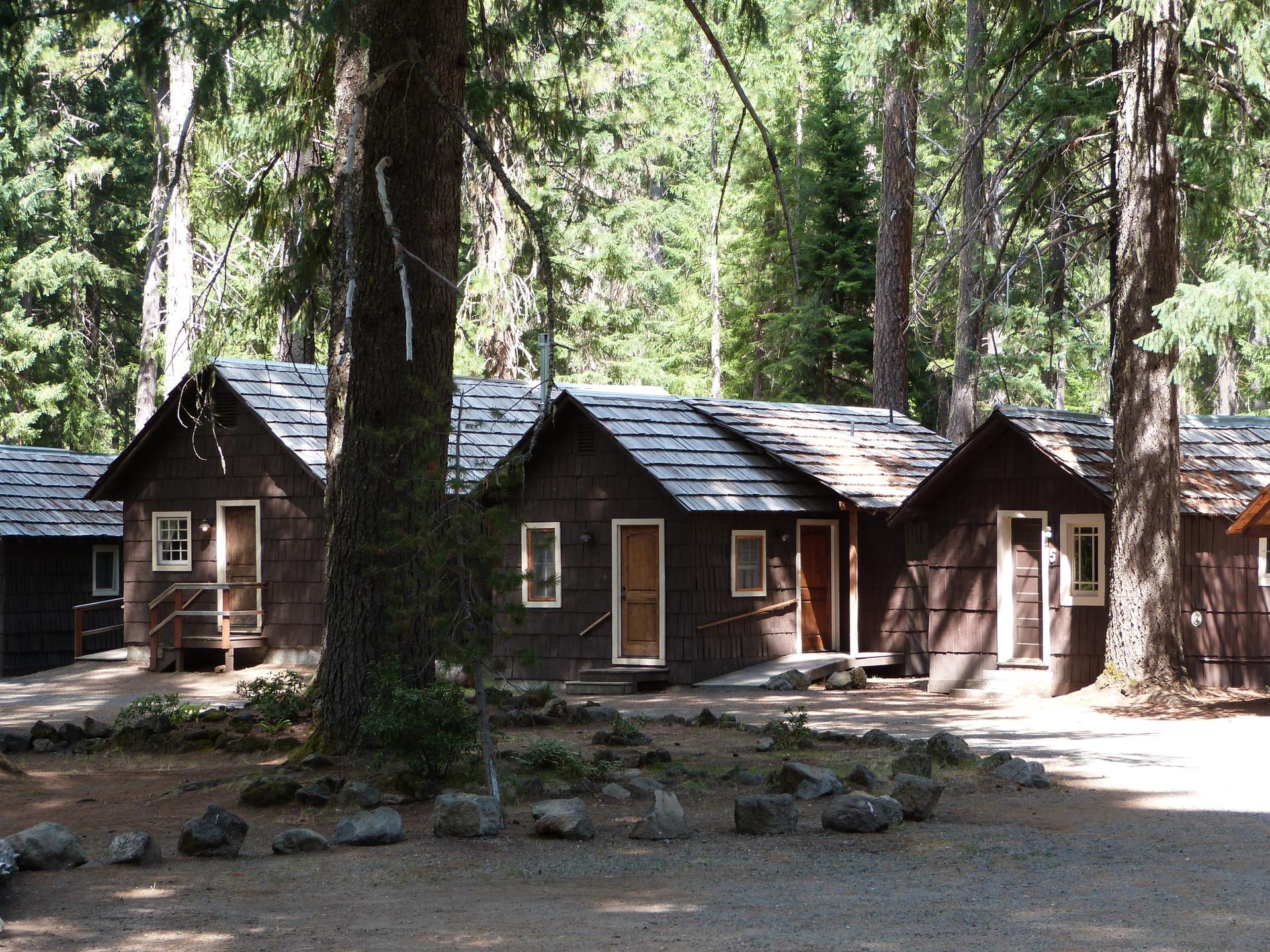 Rustic wooden cabins nestled among tall trees in dappled sunlight.