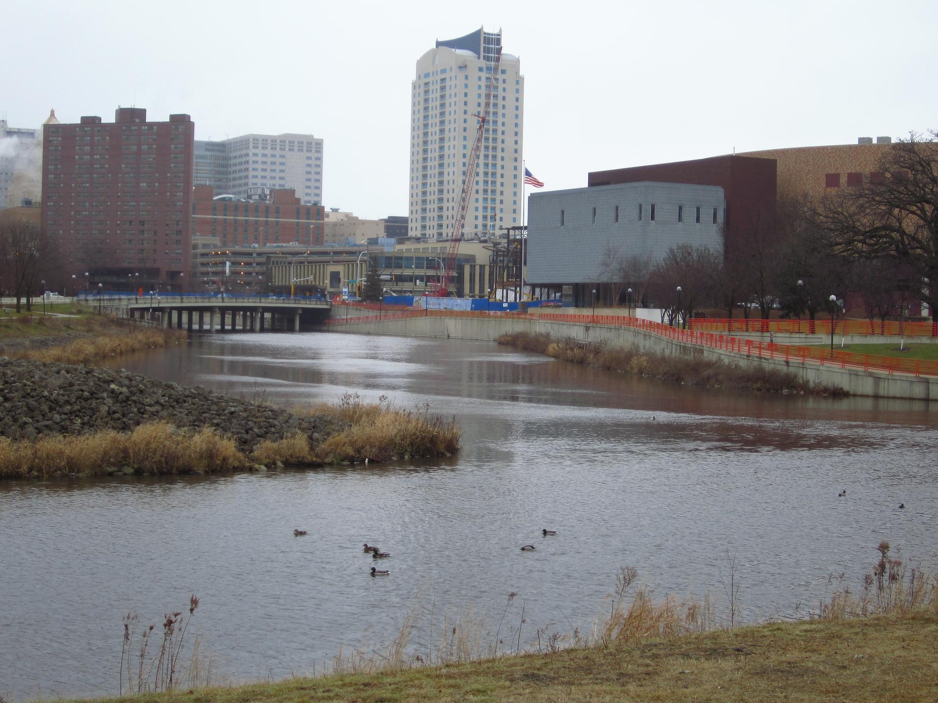 Wide river with ducks, surrounded by city buildings under an overcast sky.