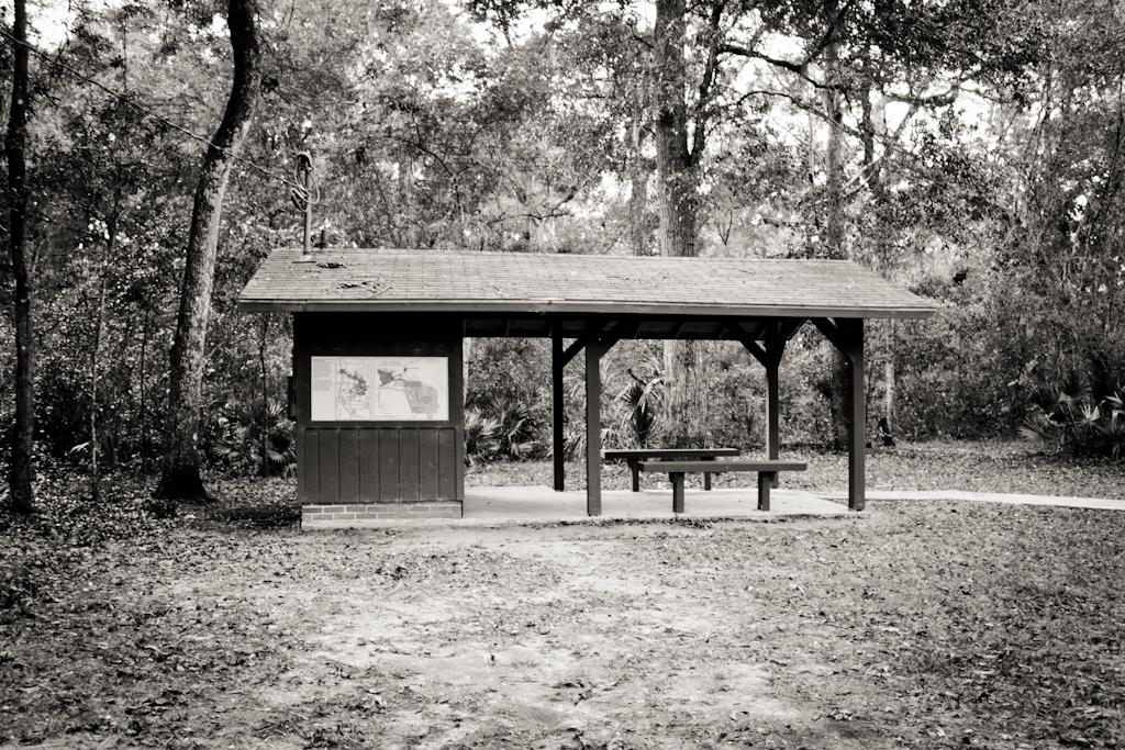 Black and white photo of a wooden picnic shelter in a forest.
