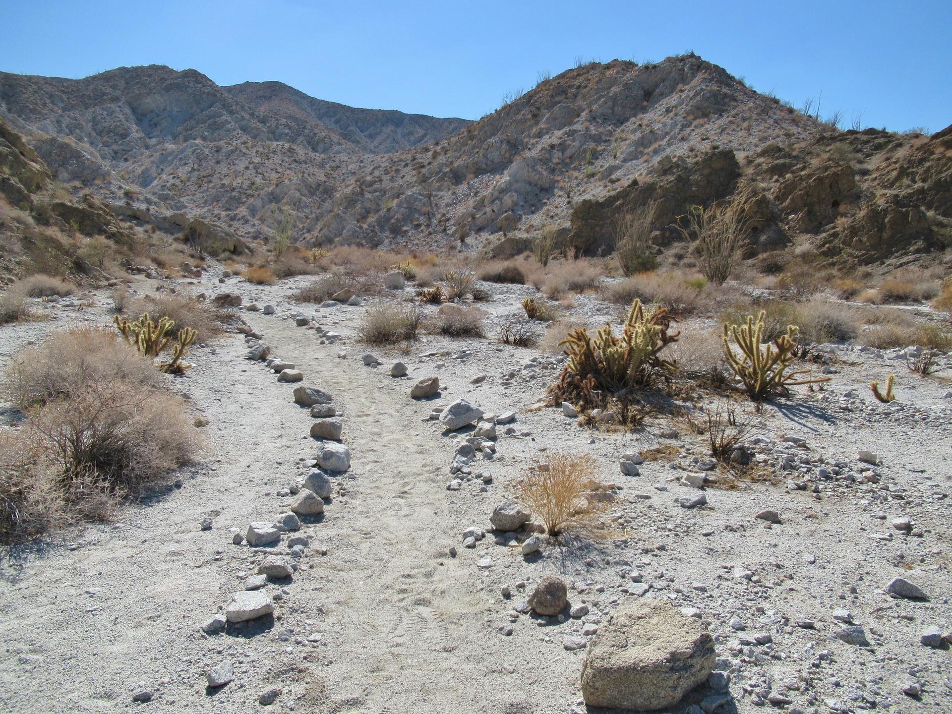 A rocky desert path winds through an arid canyon under a clear sky.