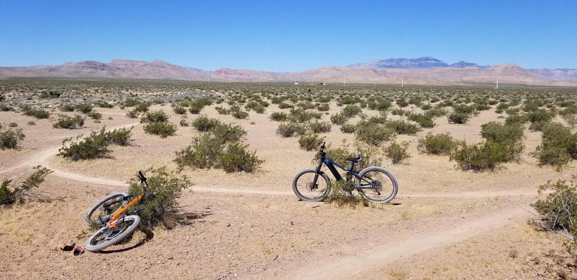 Two mountain bikes on dirt trails in a vast sunny desert landscape.