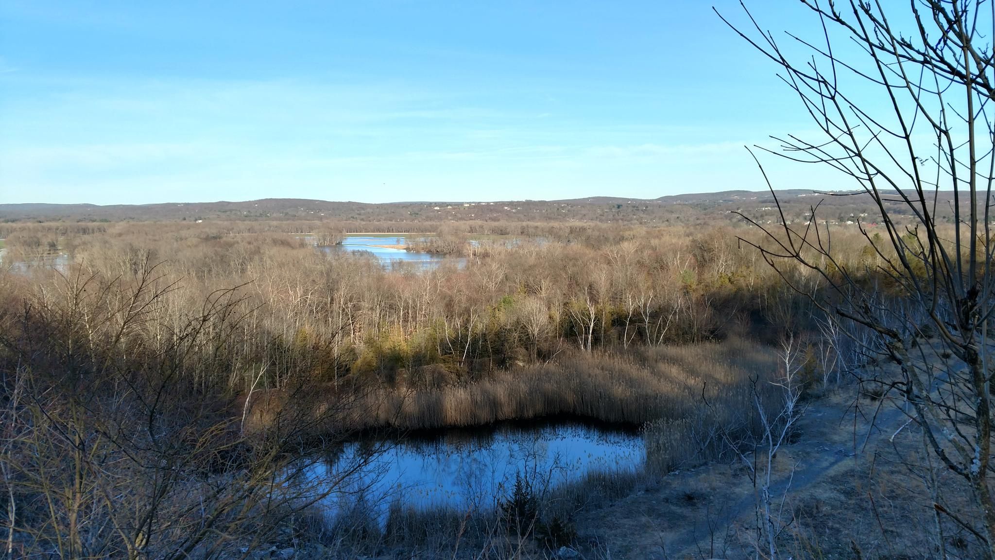 Overhead view of bare trees, wetlands, and distant hills on a sunny day. - Quarry Park loop via Black Trail
