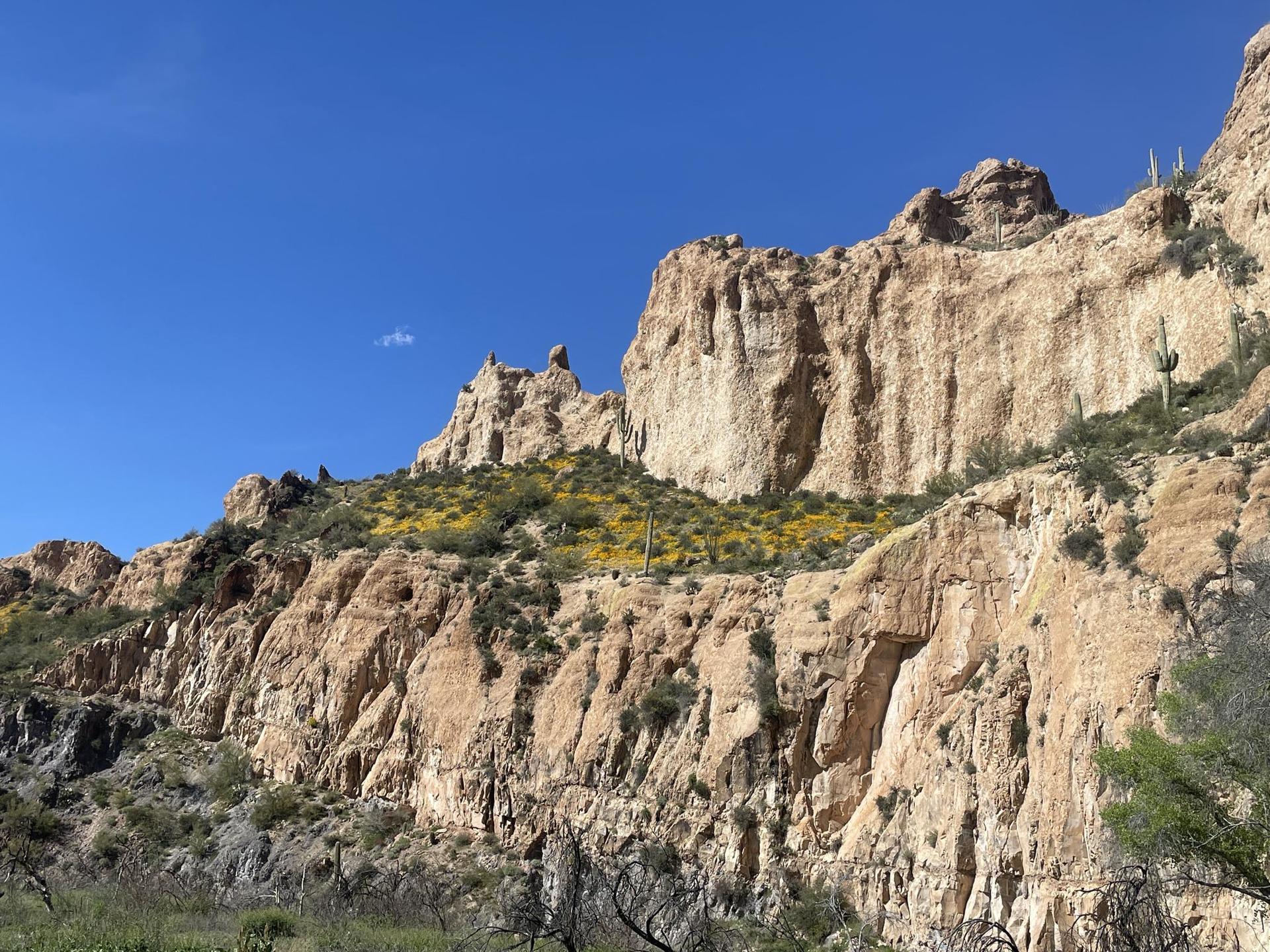 Towering rock cliffs with yellow wildflowers and cacti under a clear blue sky.