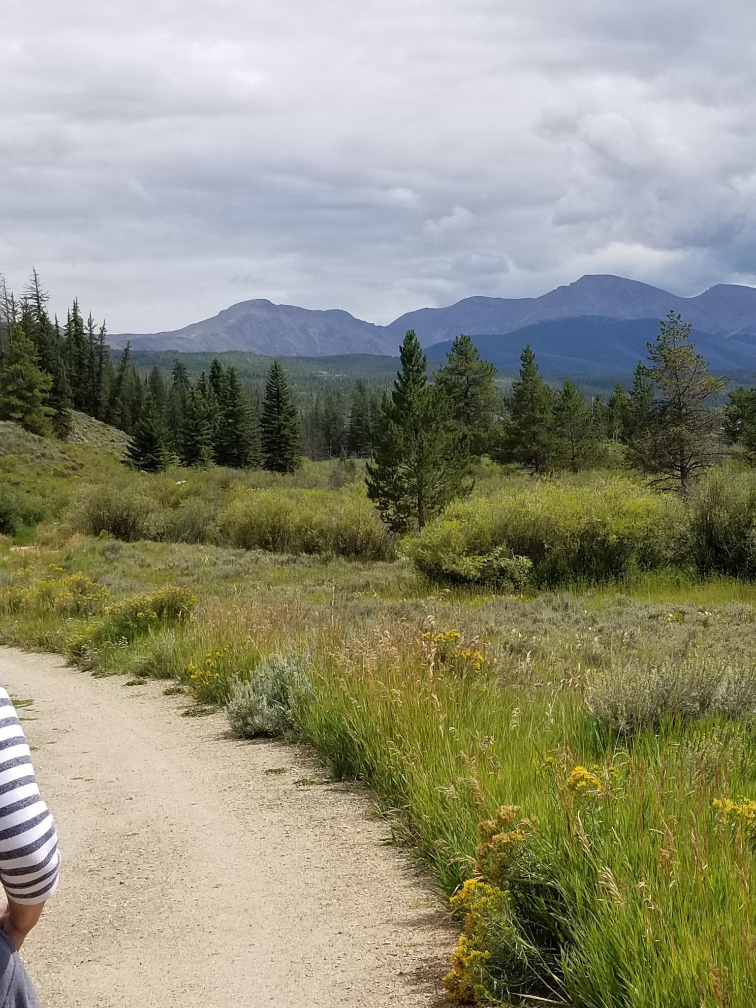 Person on dirt path, leading through grassy fields towards mountains under cloudy sky.