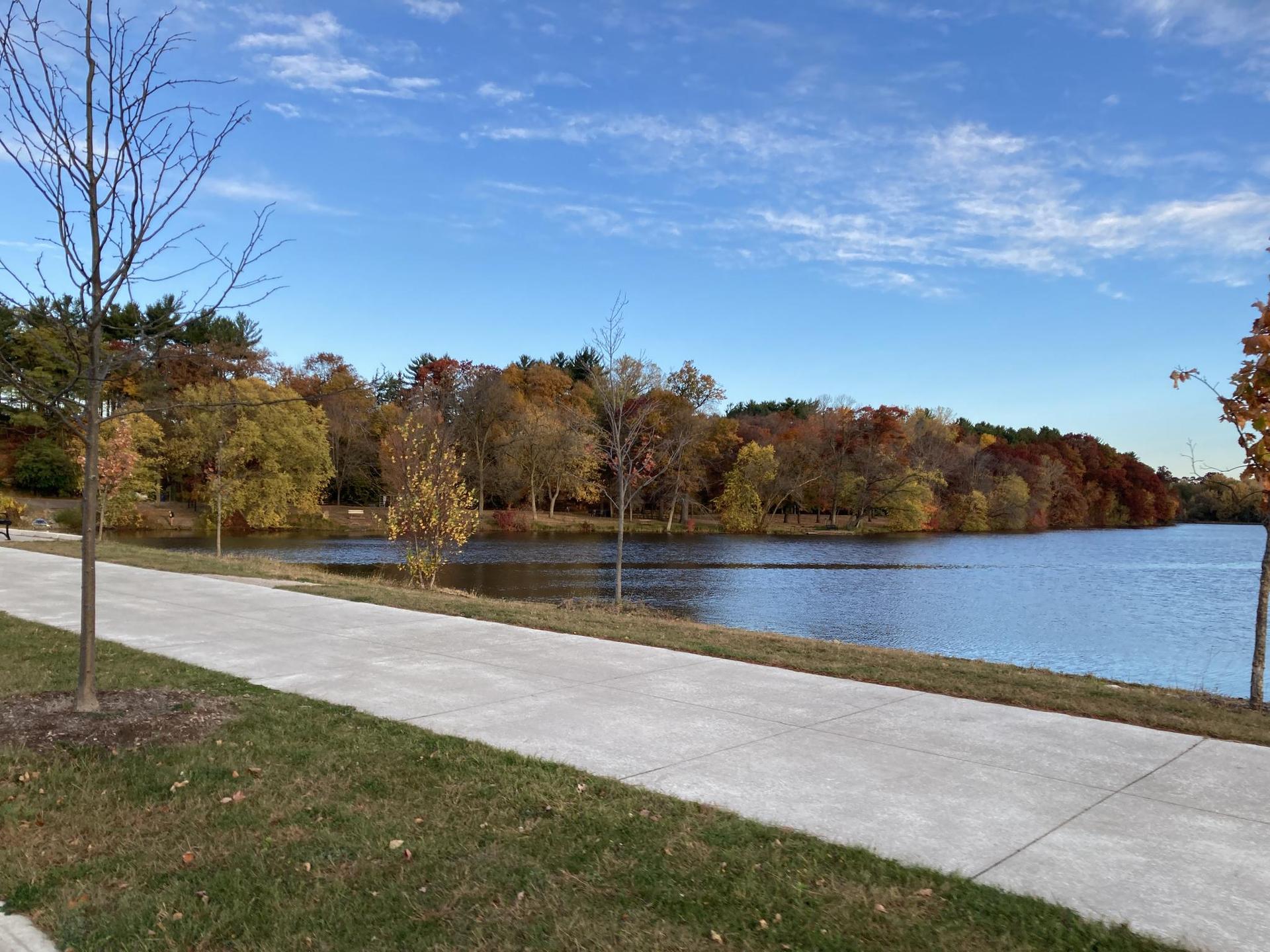 Paved path beside a lake with colorful autumn trees under blue sky.