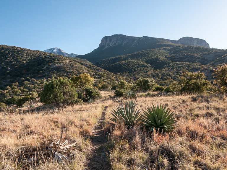Perimeter Trail to Clark Spring Trail Loop in Miller Peak Wilderness