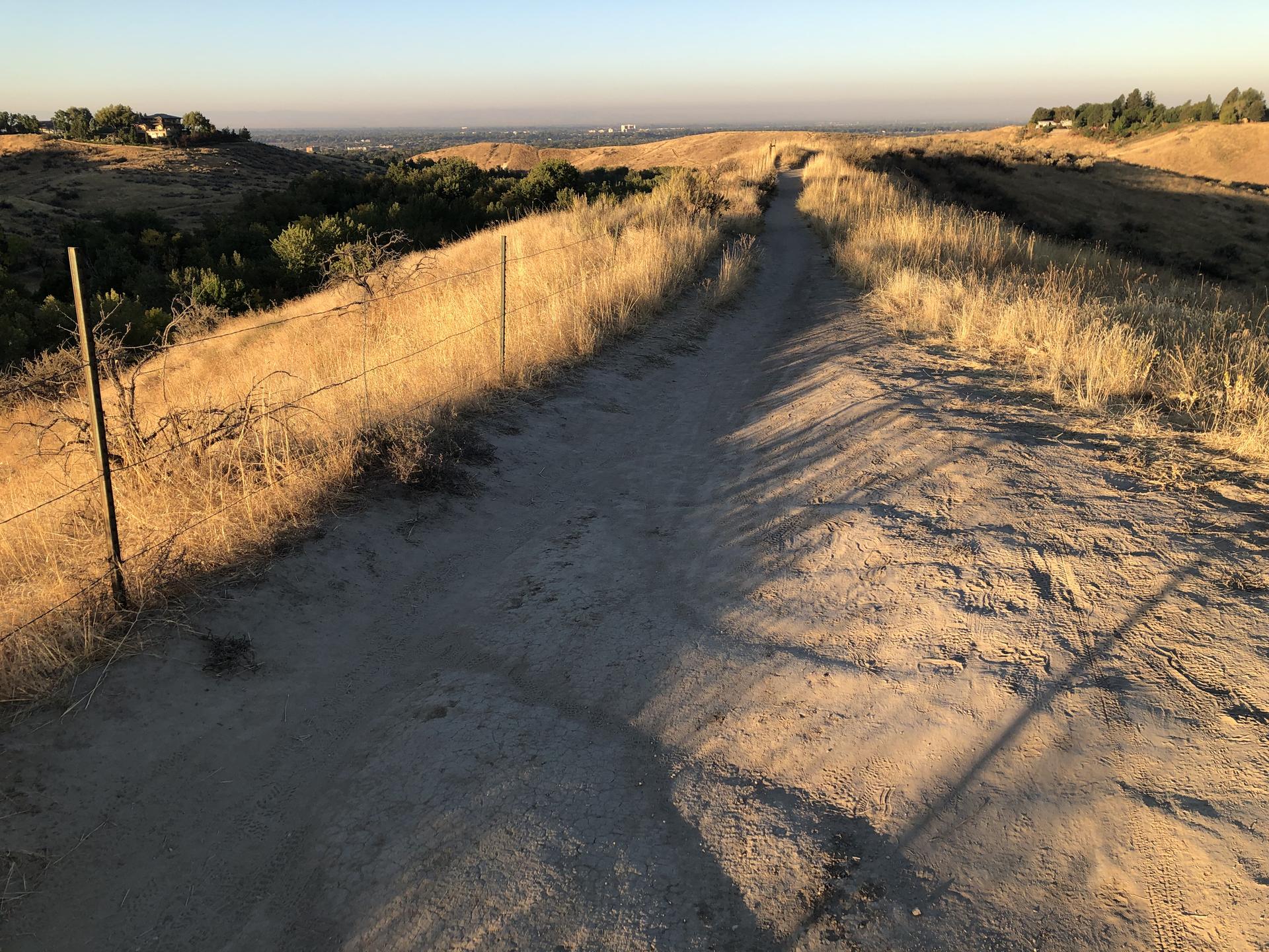 A dusty trail winding through sunlit, dry grassy hills with a fence.