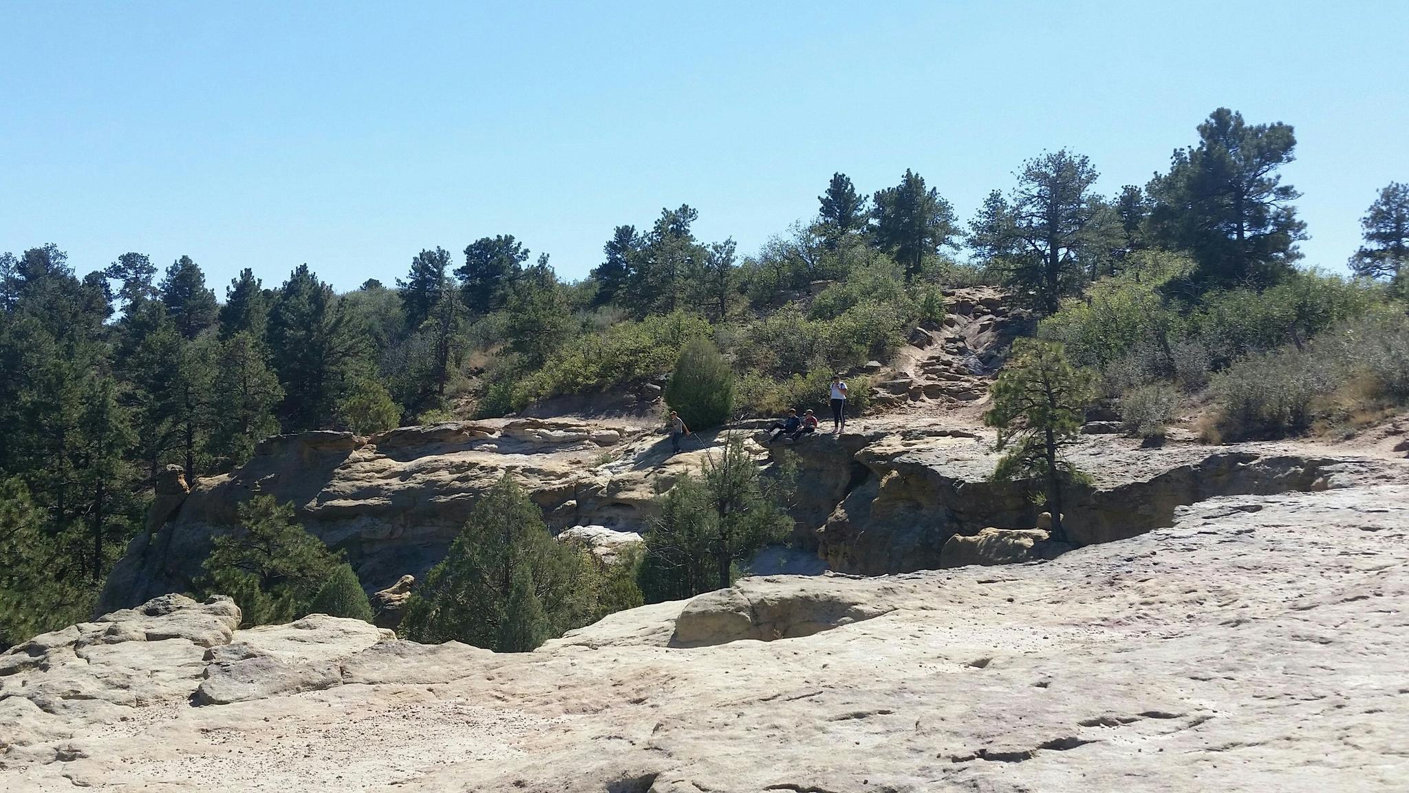 Sunny rocky landscape with pine trees and distant people on a winding path.