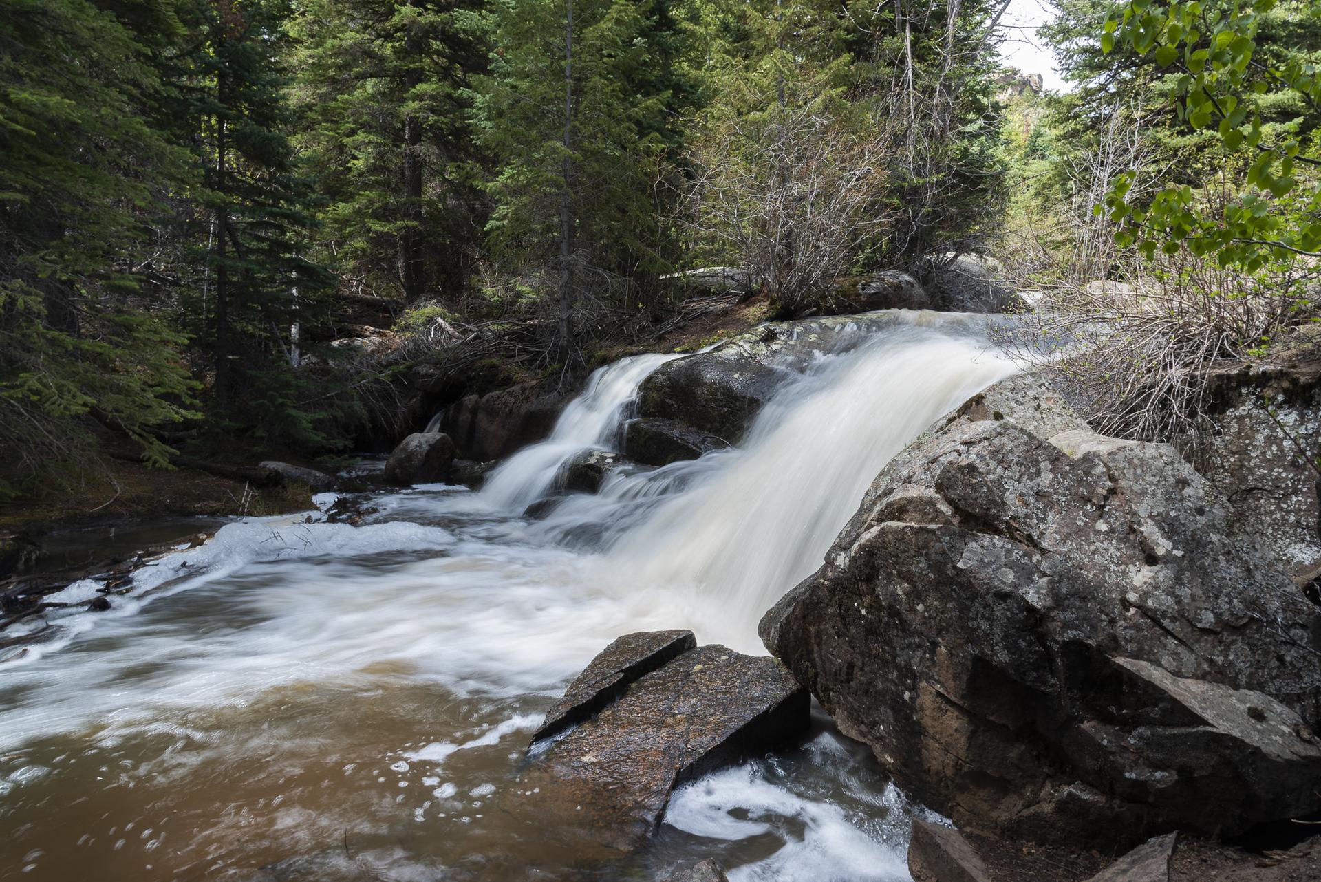 Rushing waterfall cascades over dark rocks in a dense, green forest.
