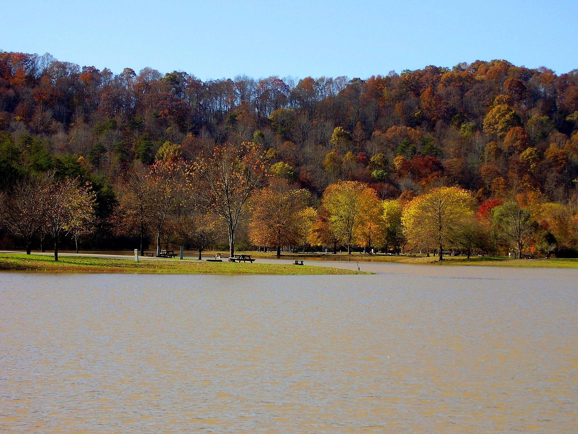 A calm lake with autumn trees and a forested hill under a clear sky.