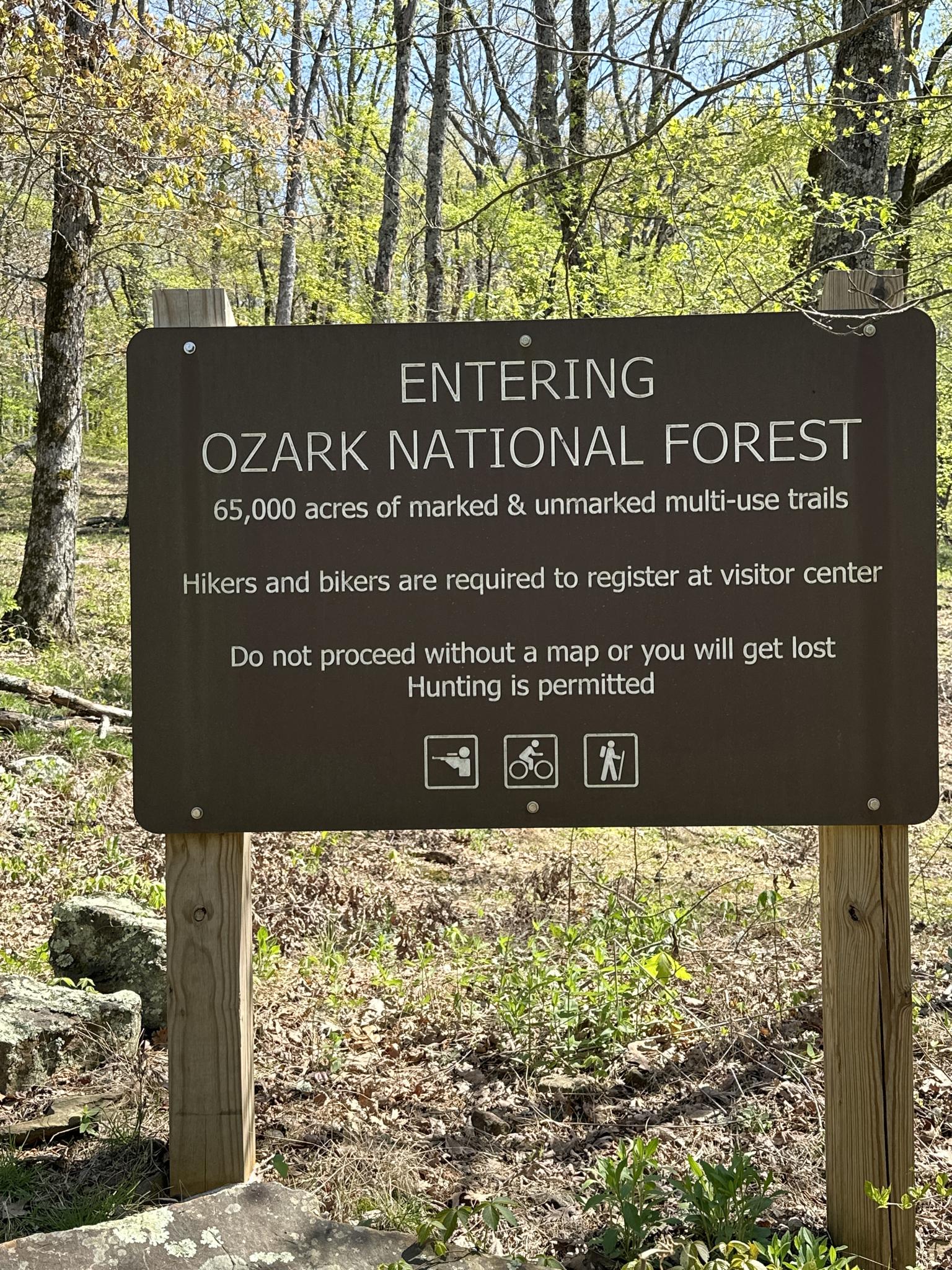 Information sign in a sunlit forest clearing with green trees.