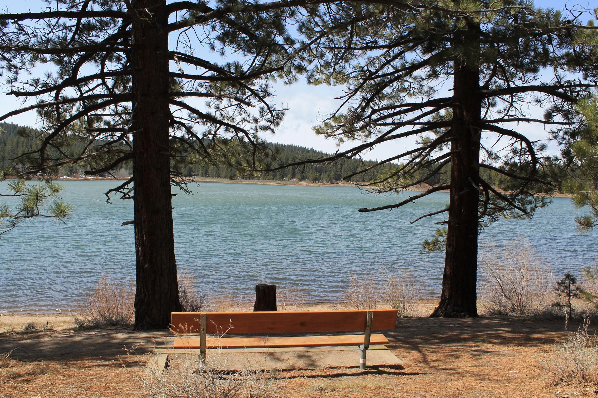 A wooden bench sits between two large trees facing a lake.