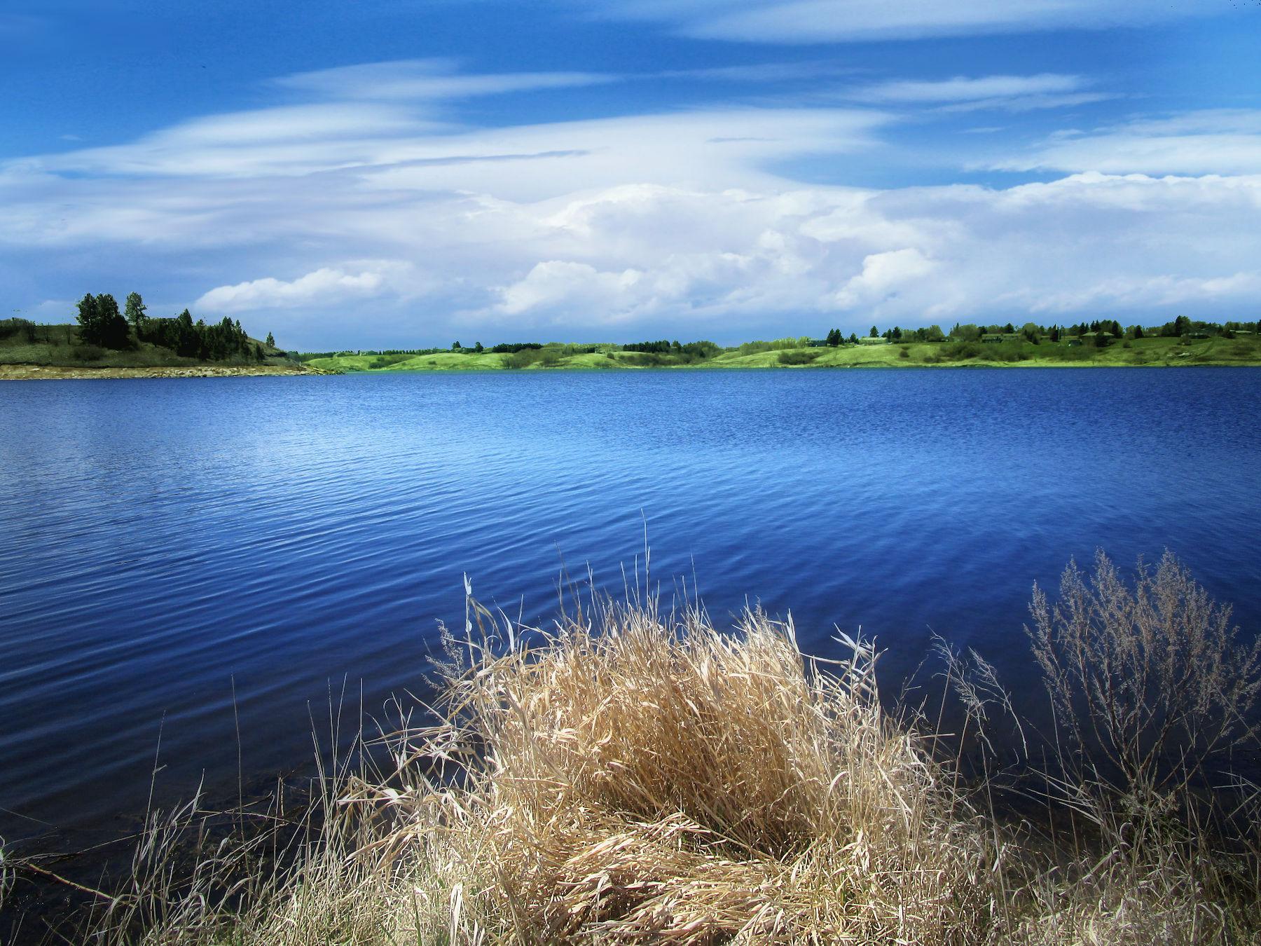 Vast blue lake with golden foreground grass under a bright, cloudy sky.