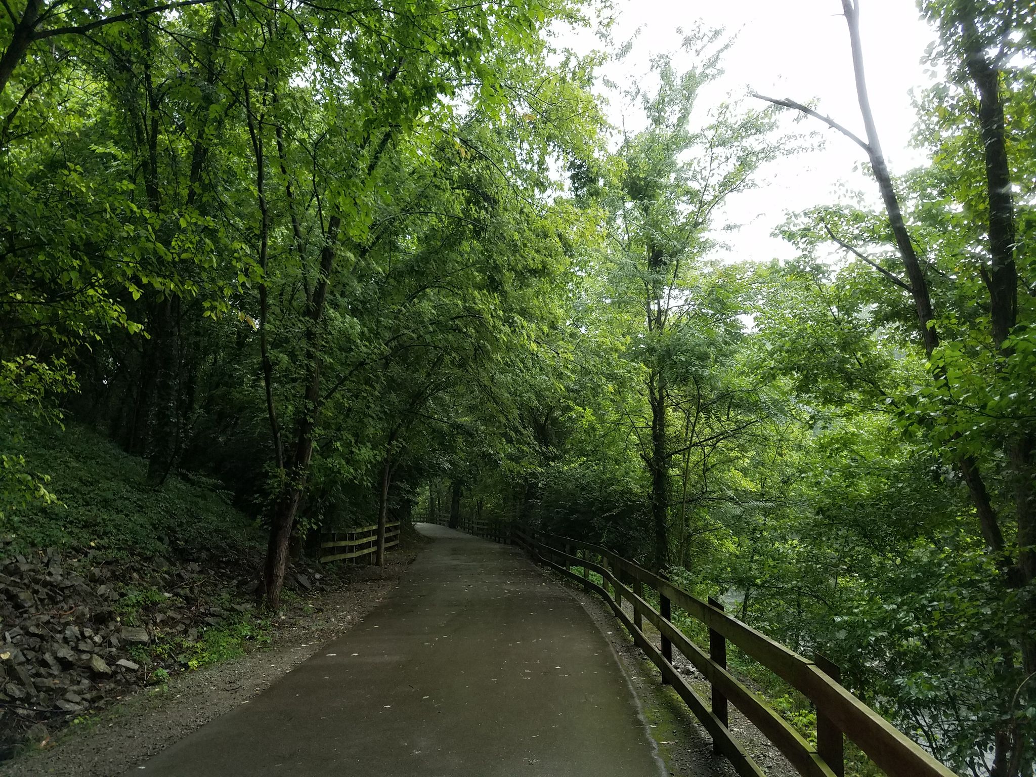 Shaded paved path winding through a dense green forest with a wooden fence. - Stones River Greenway