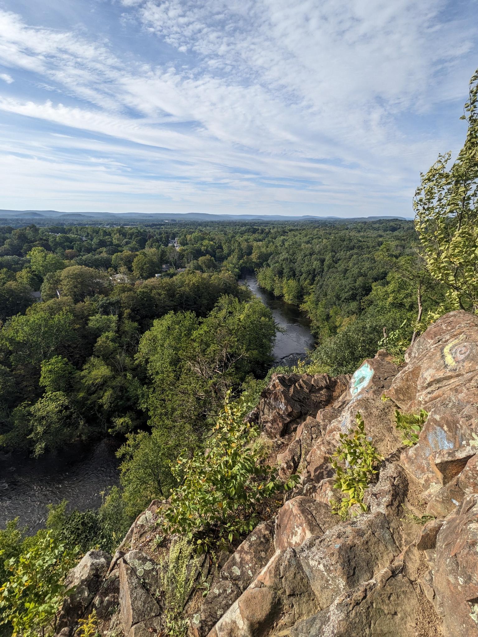 Elevated view of a winding river through dense green forest under a cloudy sky.