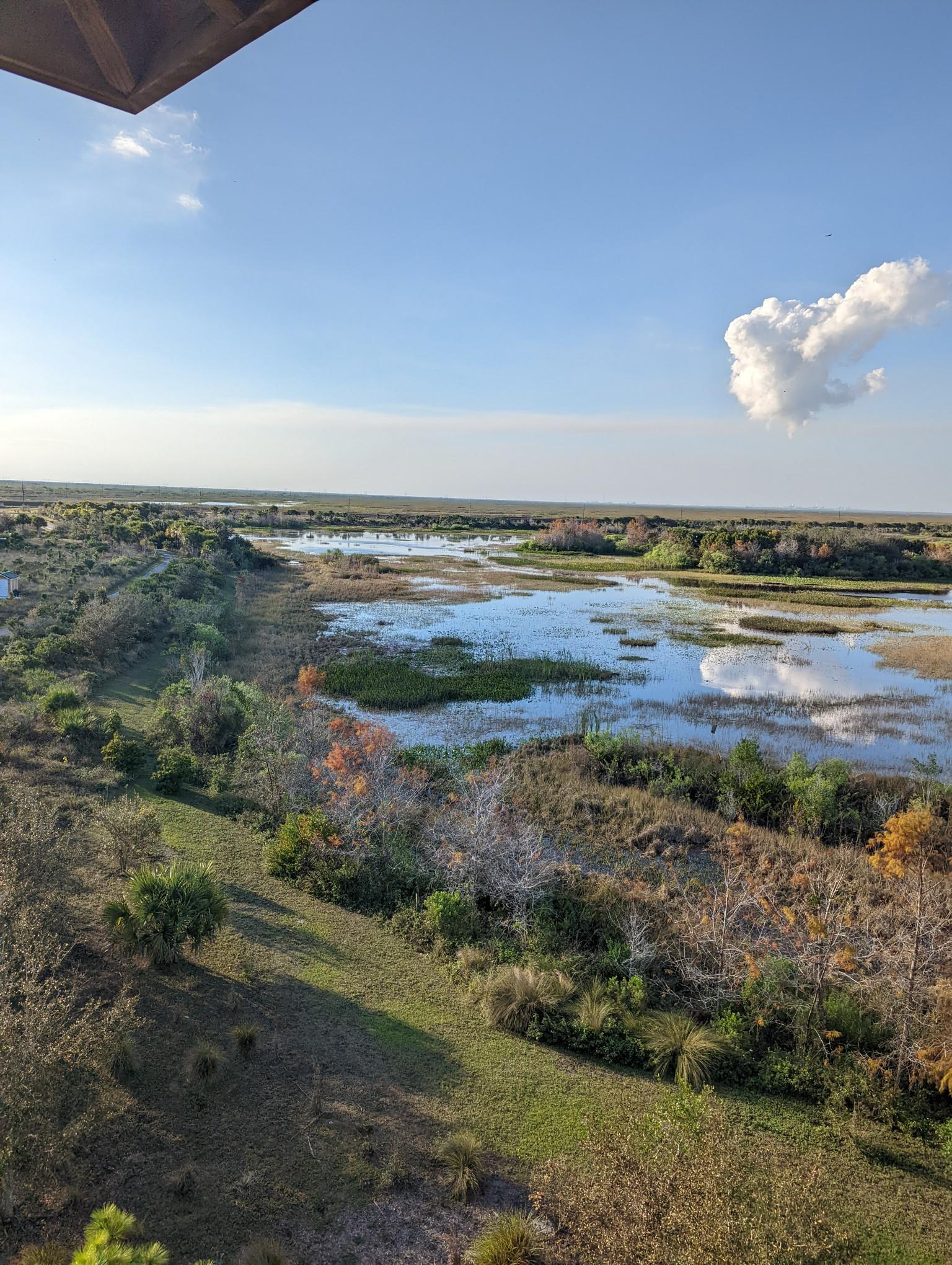 Elevated view of a sunny wetland with water, trees, and a bright blue sky.