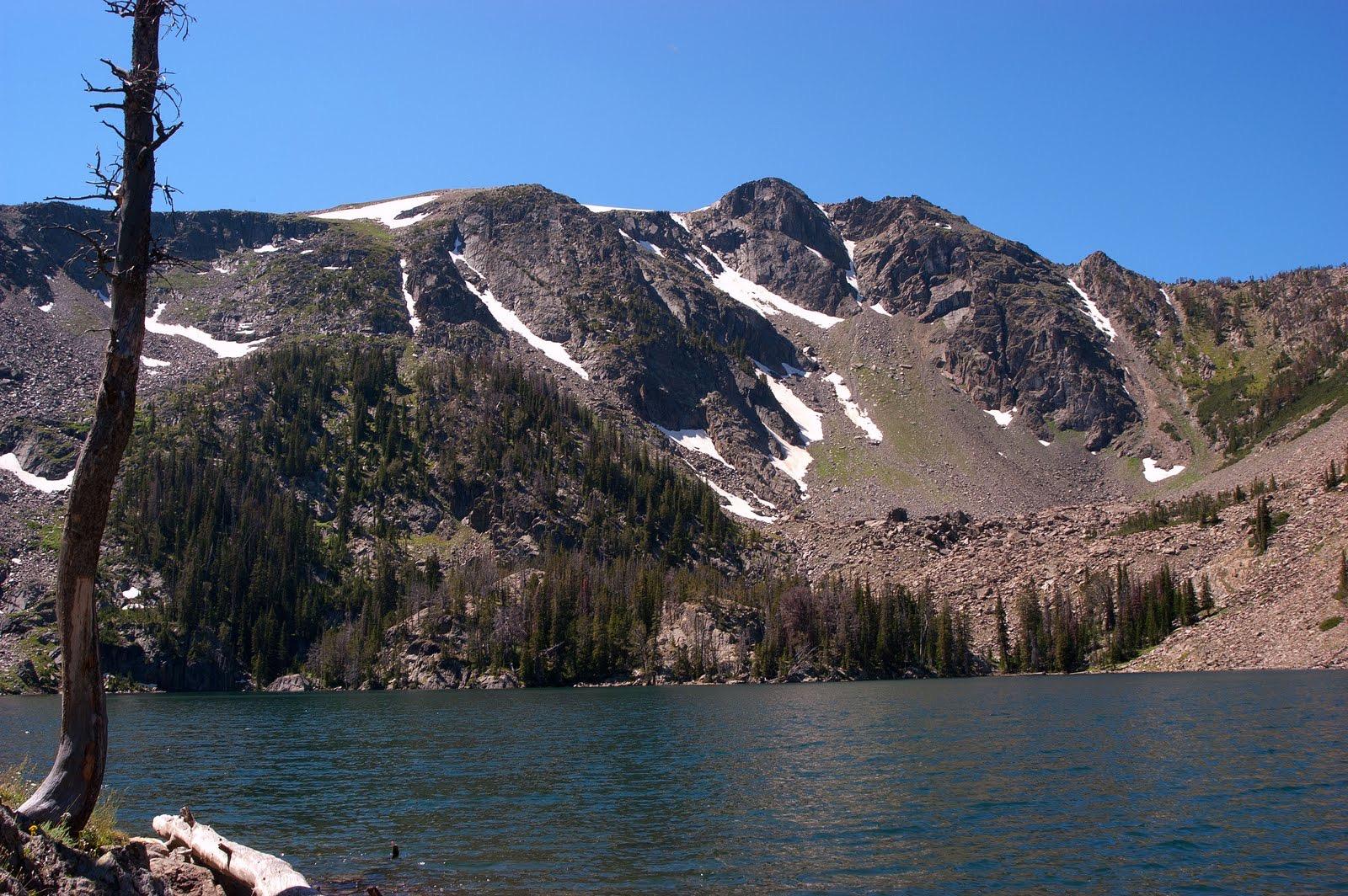 Sunny mountain lake with rocky, snow-capped peaks and a dead tree.