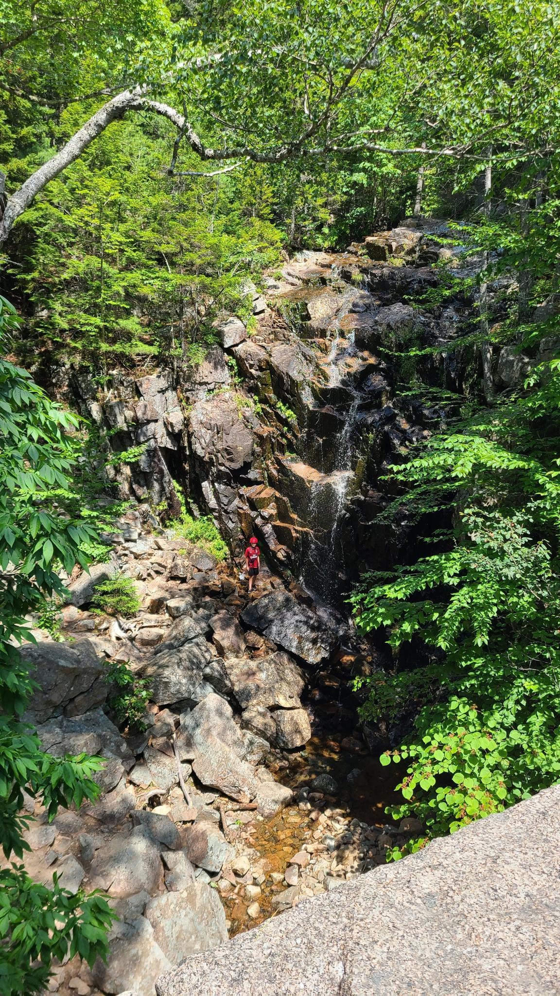 Person in red stands beside a rocky waterfall in a lush forest.