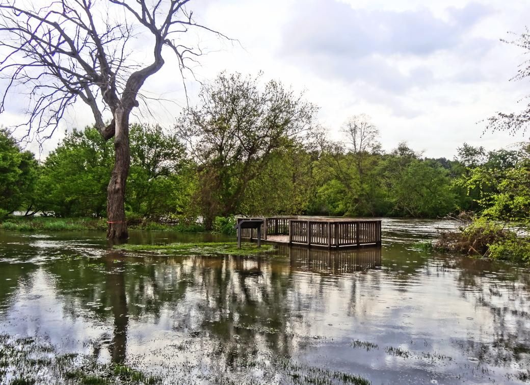 Flooded landscape with a wooden deck, grill, and large bare tree. - French Broad River Greenway Loop