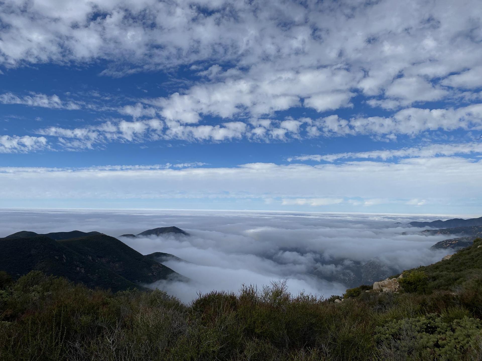 Mountain peaks emerging from a thick layer of clouds under a blue sky.