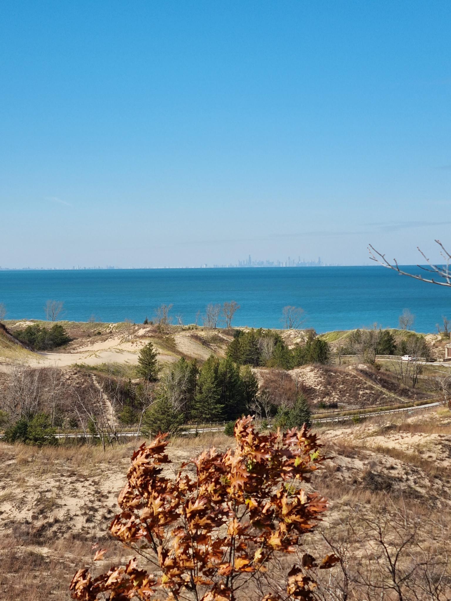 Sunny view of sandy dunes, sparse trees, and a vast blue body of water.