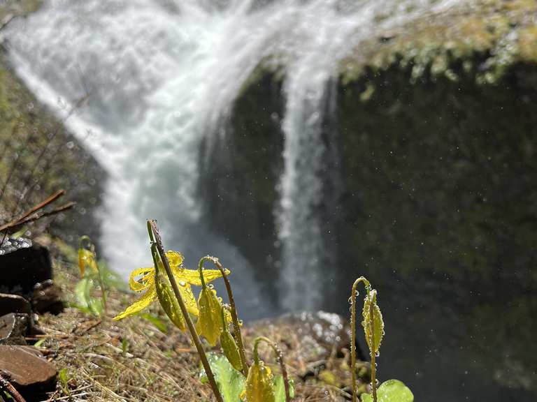 Twister Falls, Eagle Creek , Oregon [3648x5472][oc] : r/EarthPorn