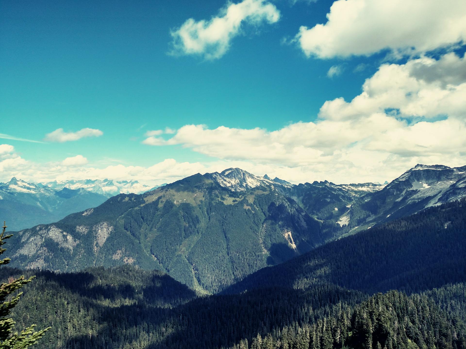 Panoramic view of majestic, forested mountains with snow-capped peaks under a blue sky.